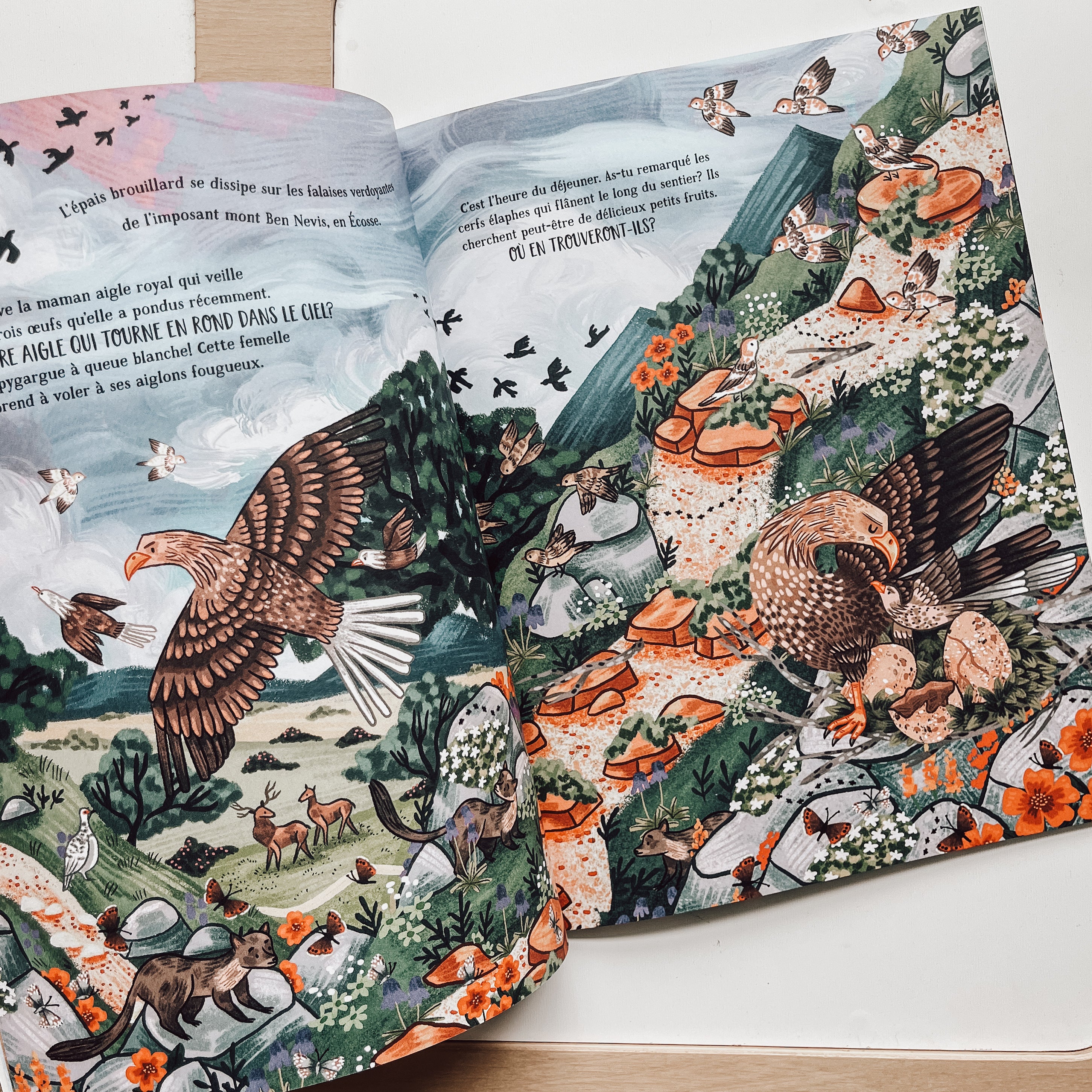 Livre d'histoire - Les secrets de la montagne