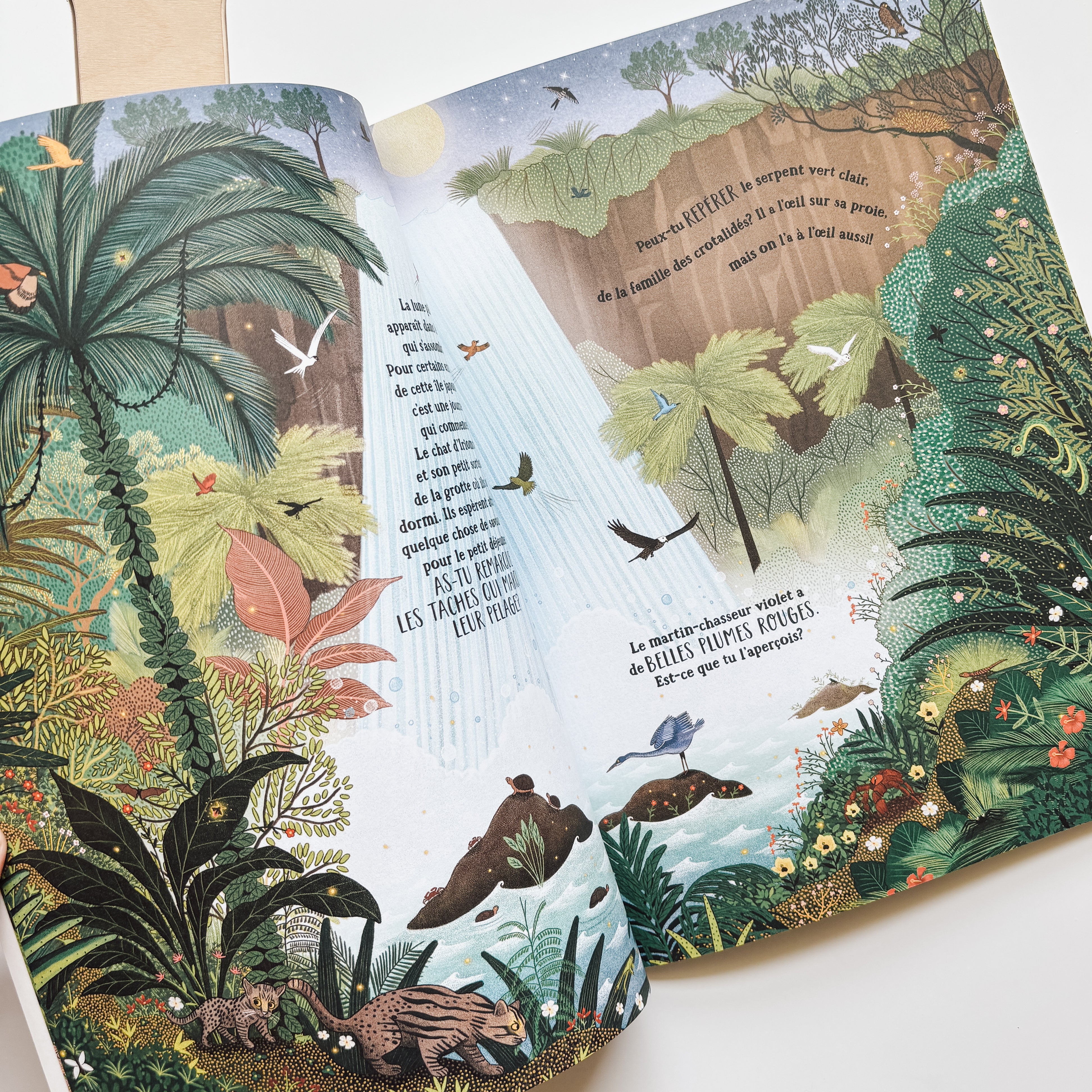 Livre d'histoire - Les secrets de la jungle