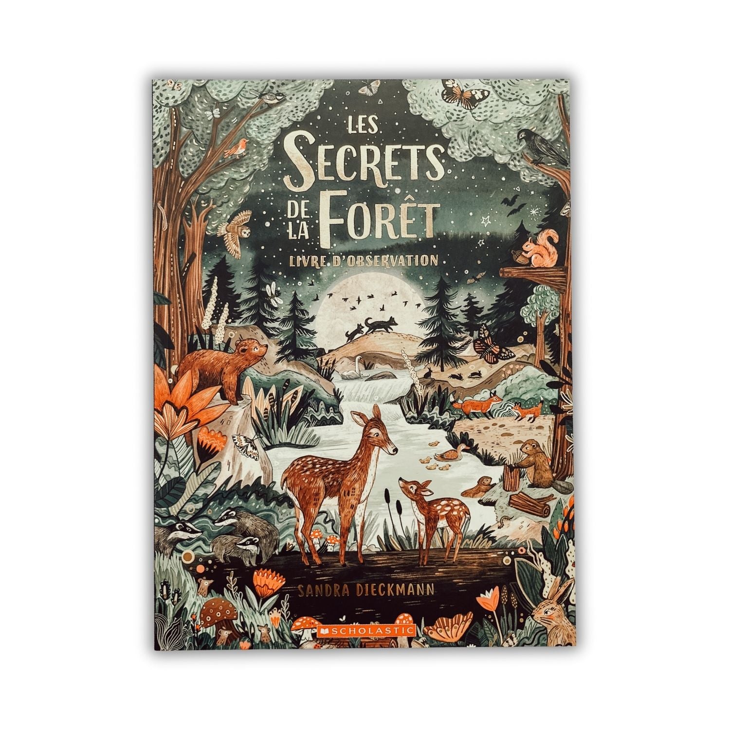 Livre d'histoire - Les secrets de la forêt