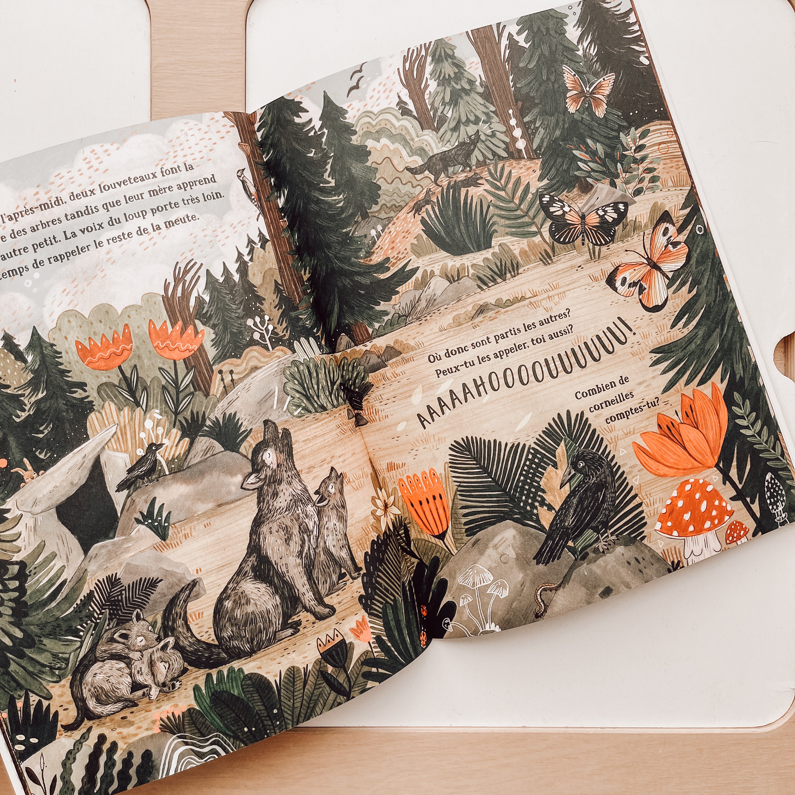 Livre d'histoire - Les secrets de la forêt