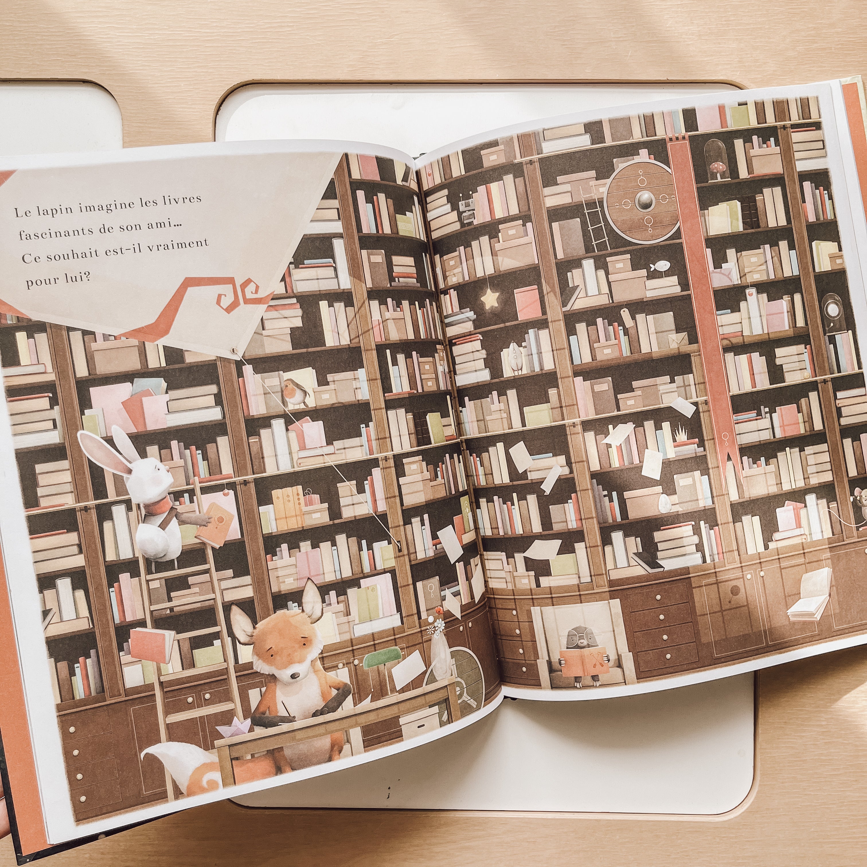 Livre d'histoire - Fais un souhait