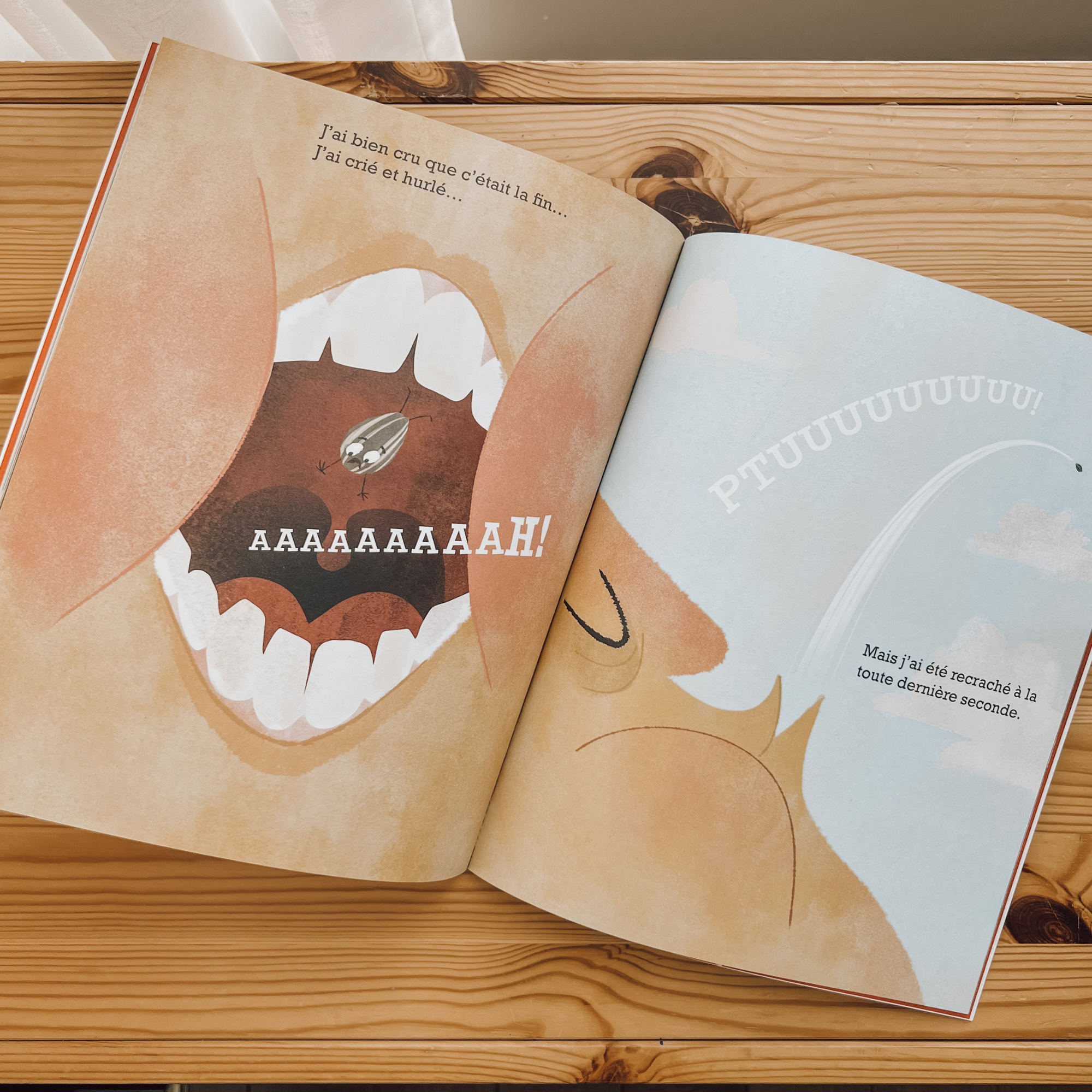 Livre d'histoire - La mauvaise graine