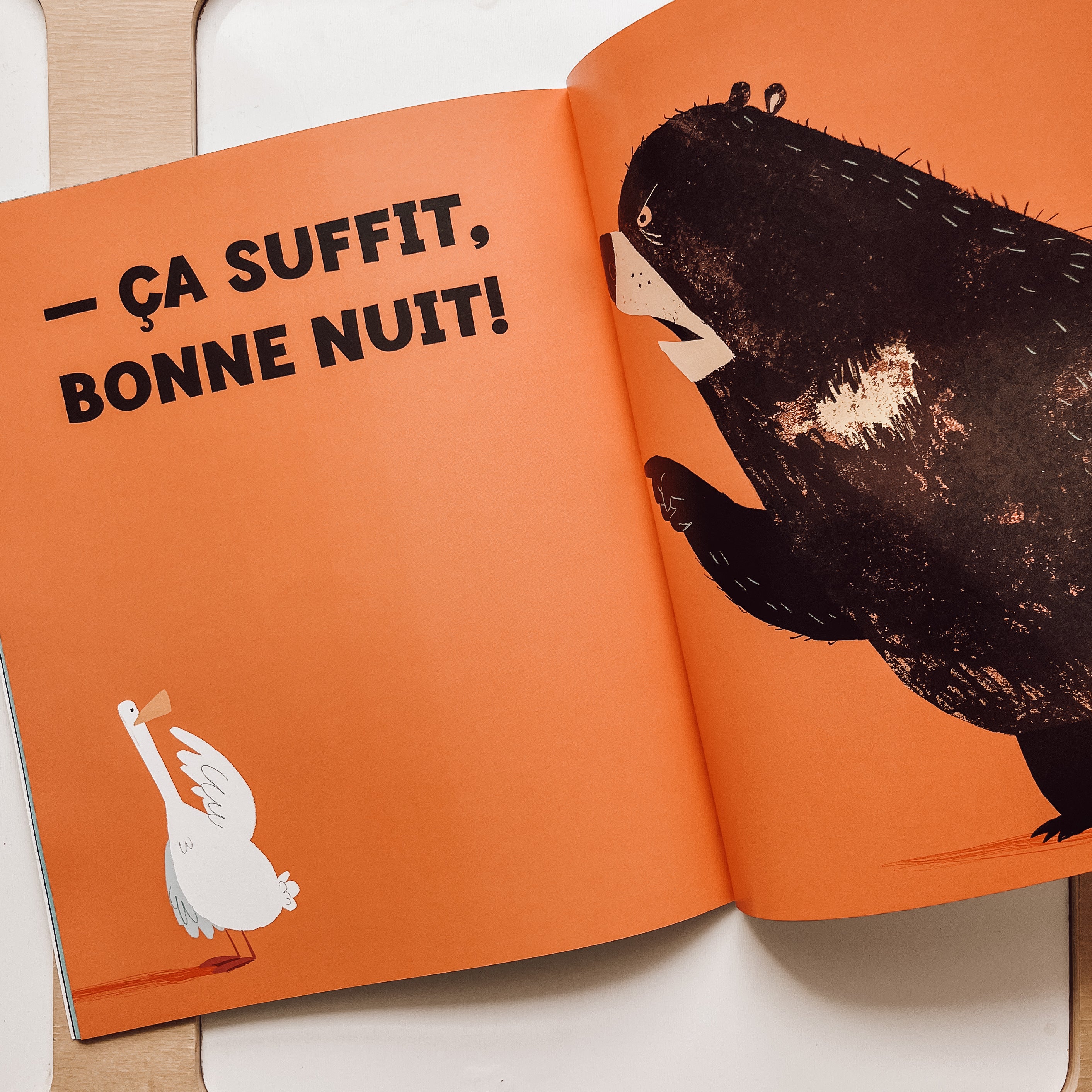 Livre d'histoire - Ça suffit, bonne nuit!