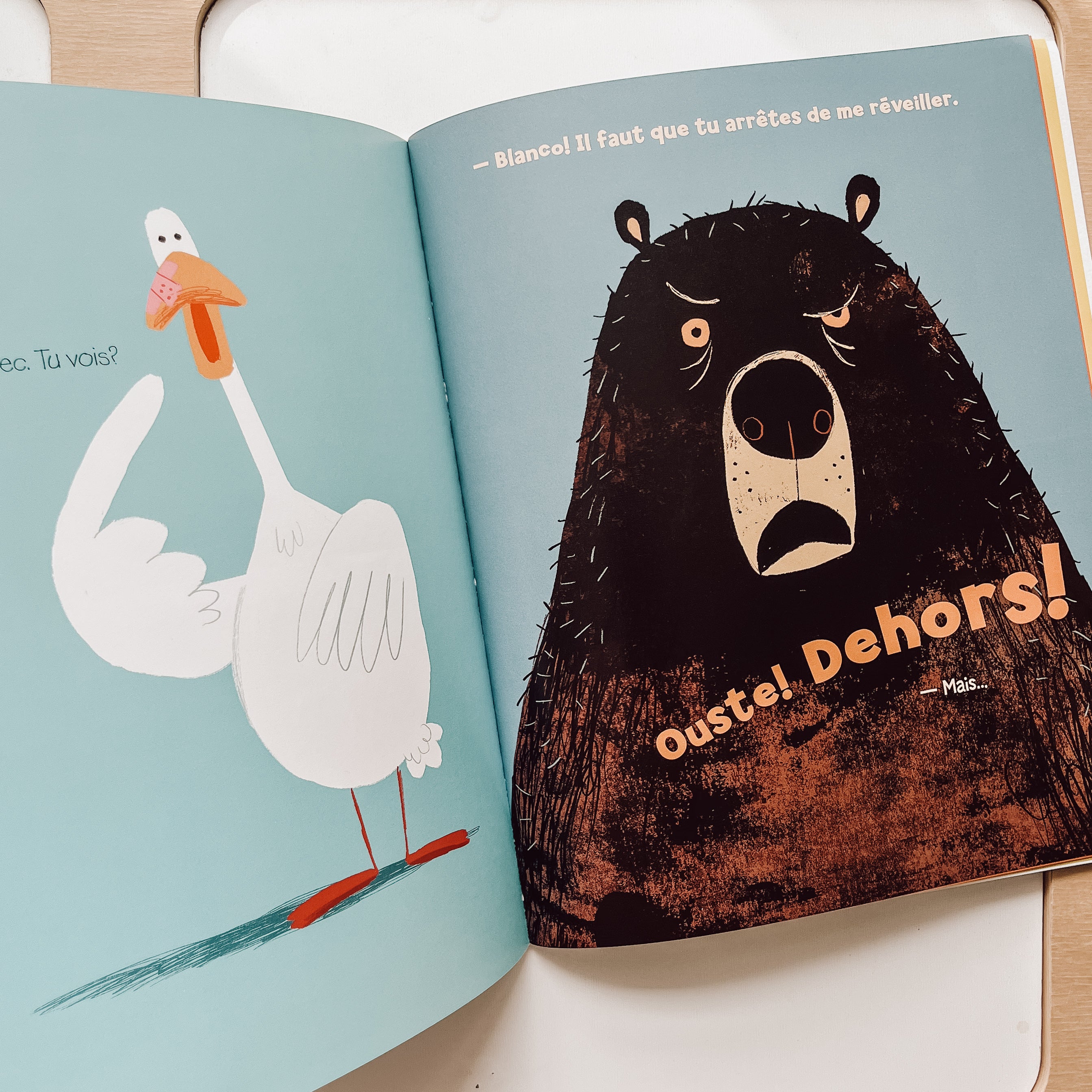 Livre d'histoire - Ça suffit, bonne nuit!