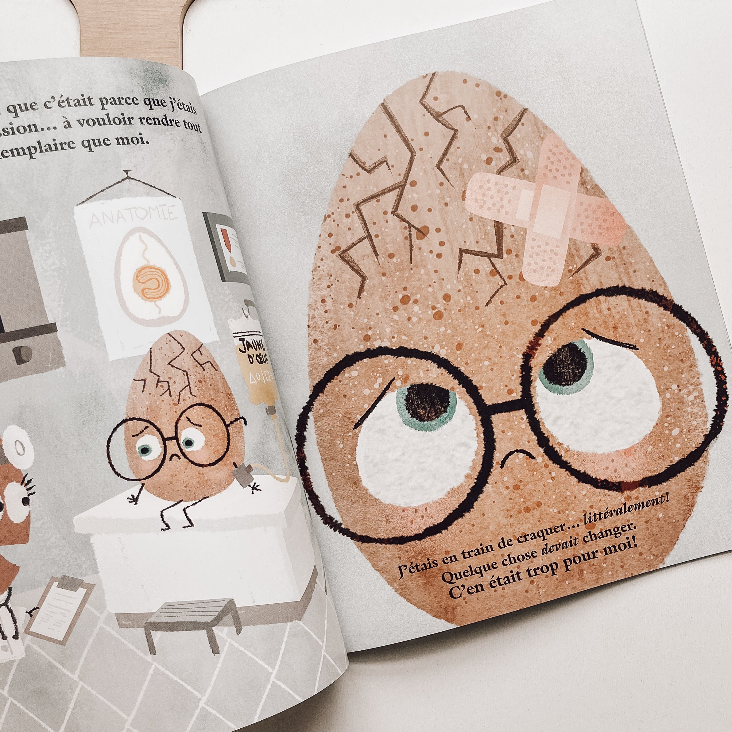 Livre d'histoire - L'oeuf modèle