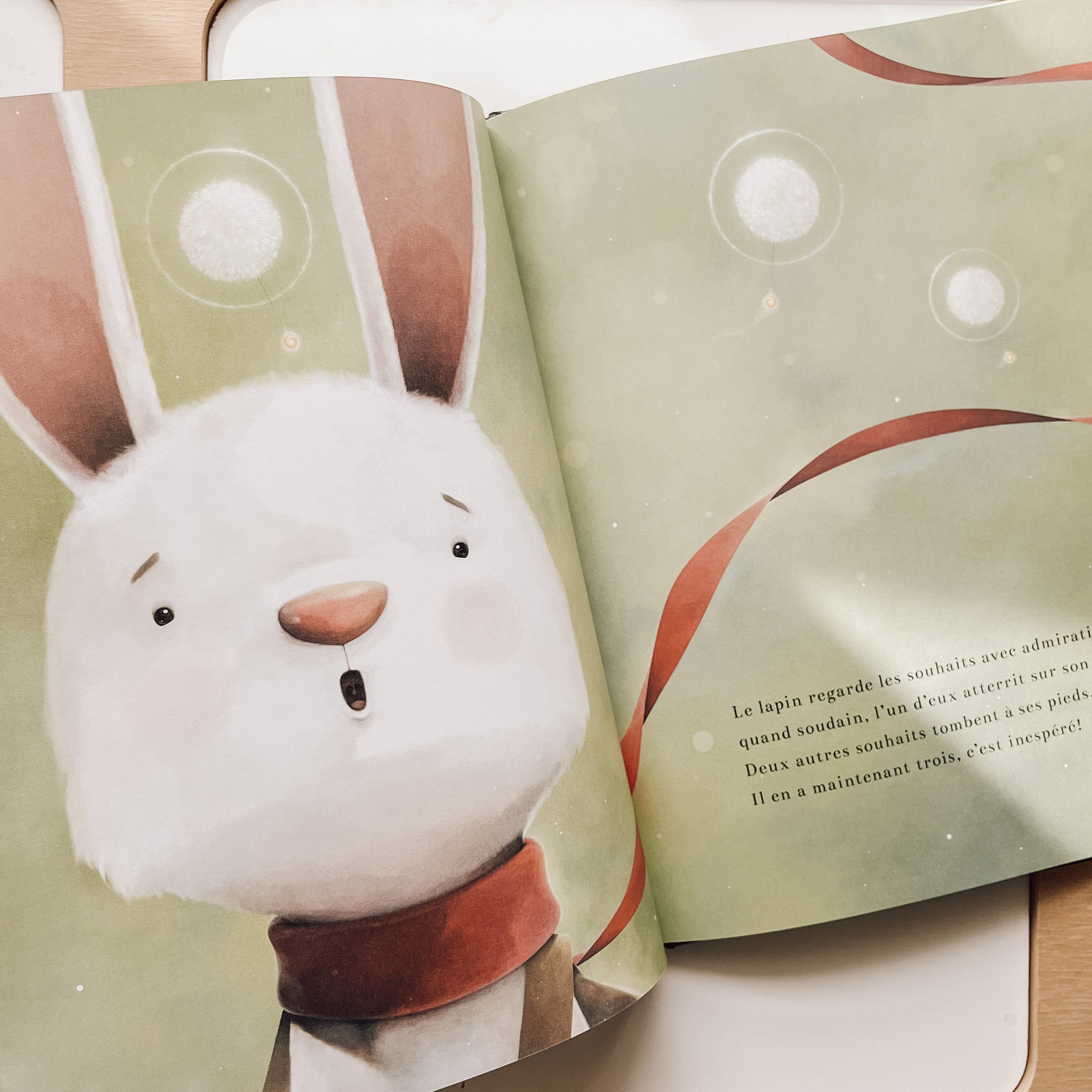 Livre d'histoire - Fais un souhait