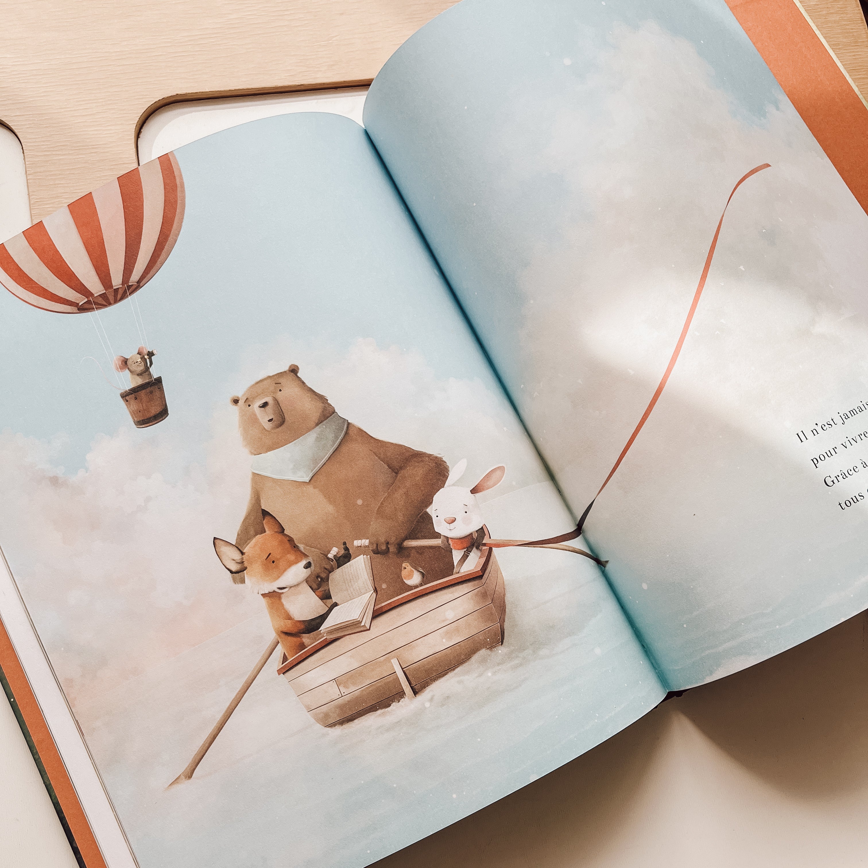 Livre d'histoire - Fais un souhait