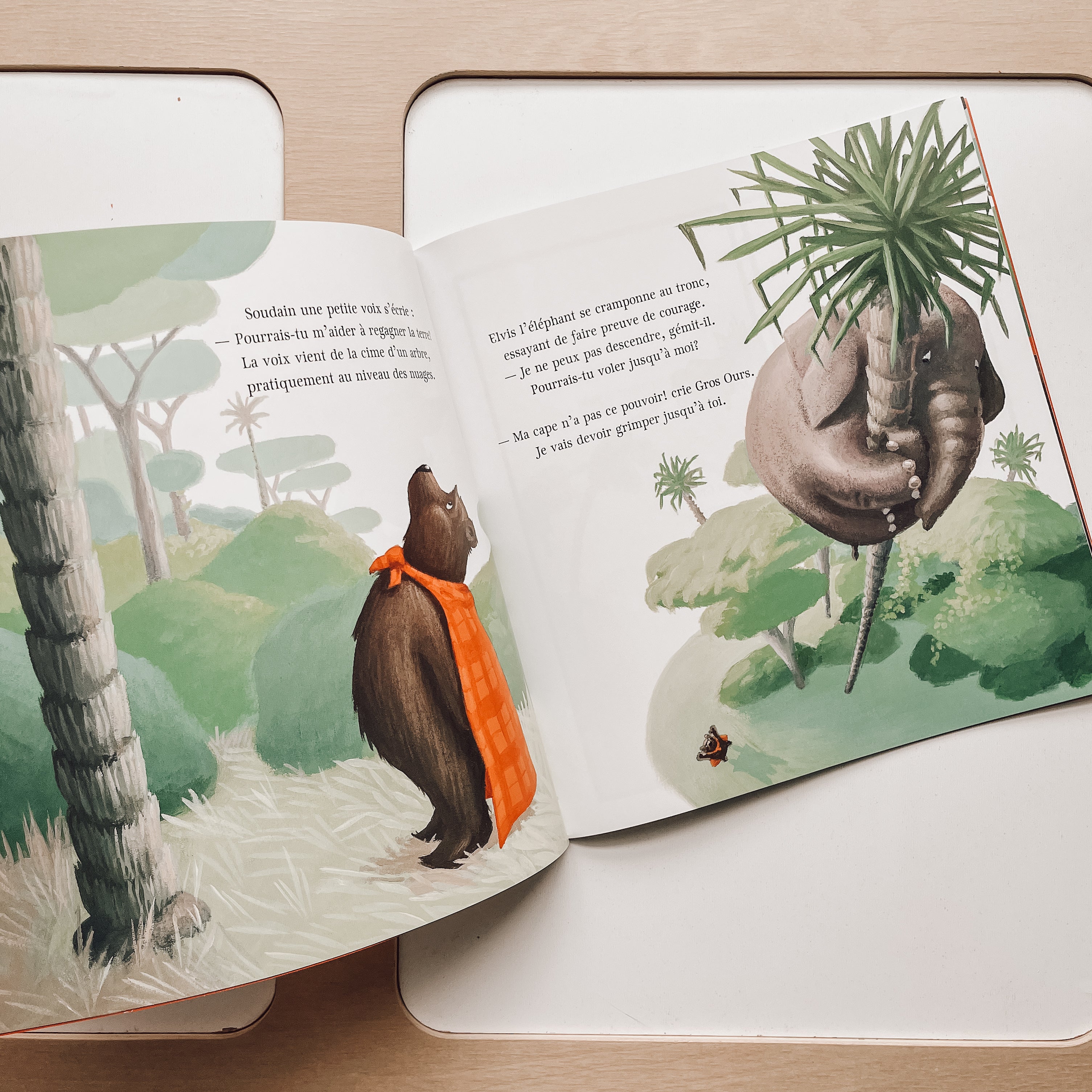 Livre d'histoire - Gros ours superhéros