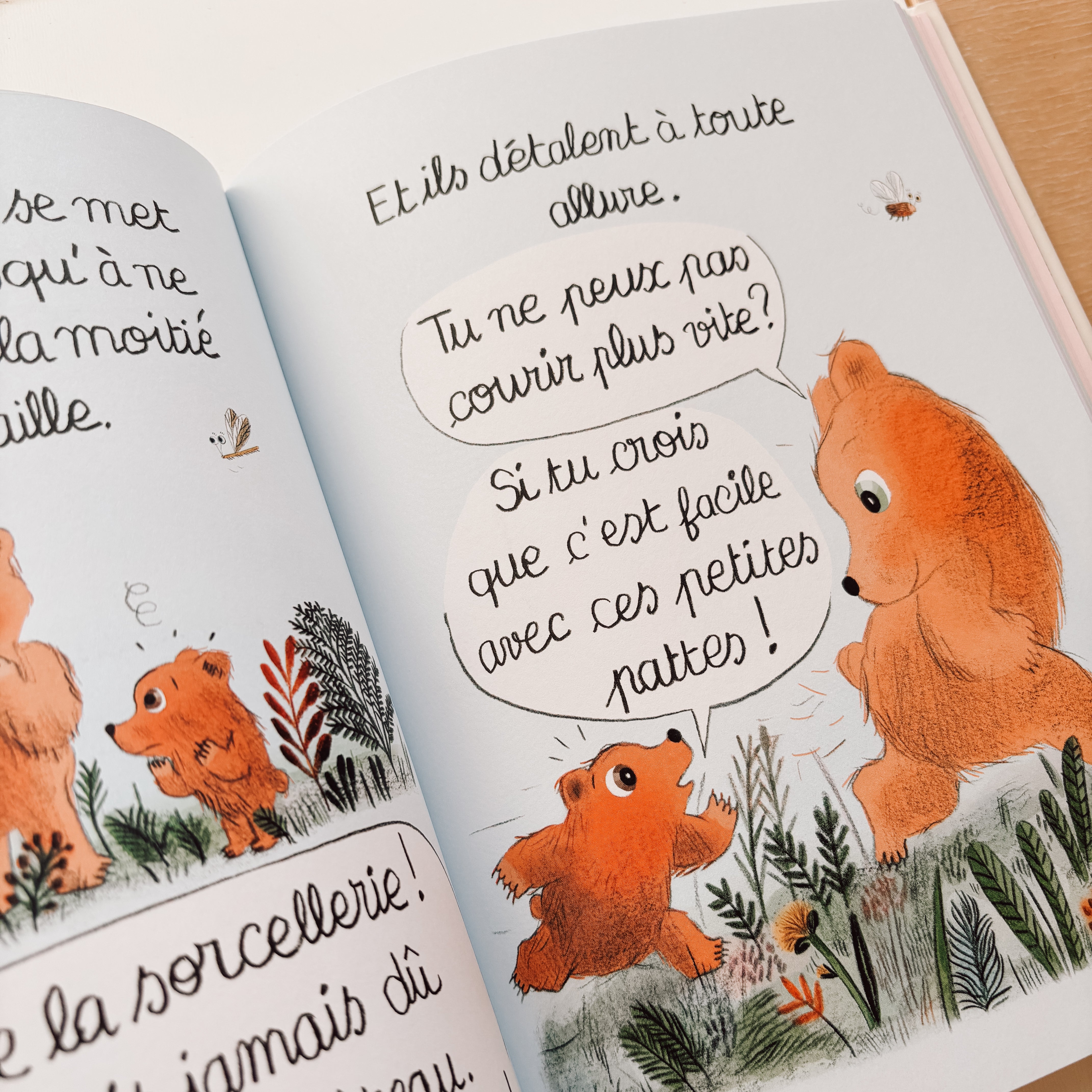 Livre d'histoire - La toute petite maison