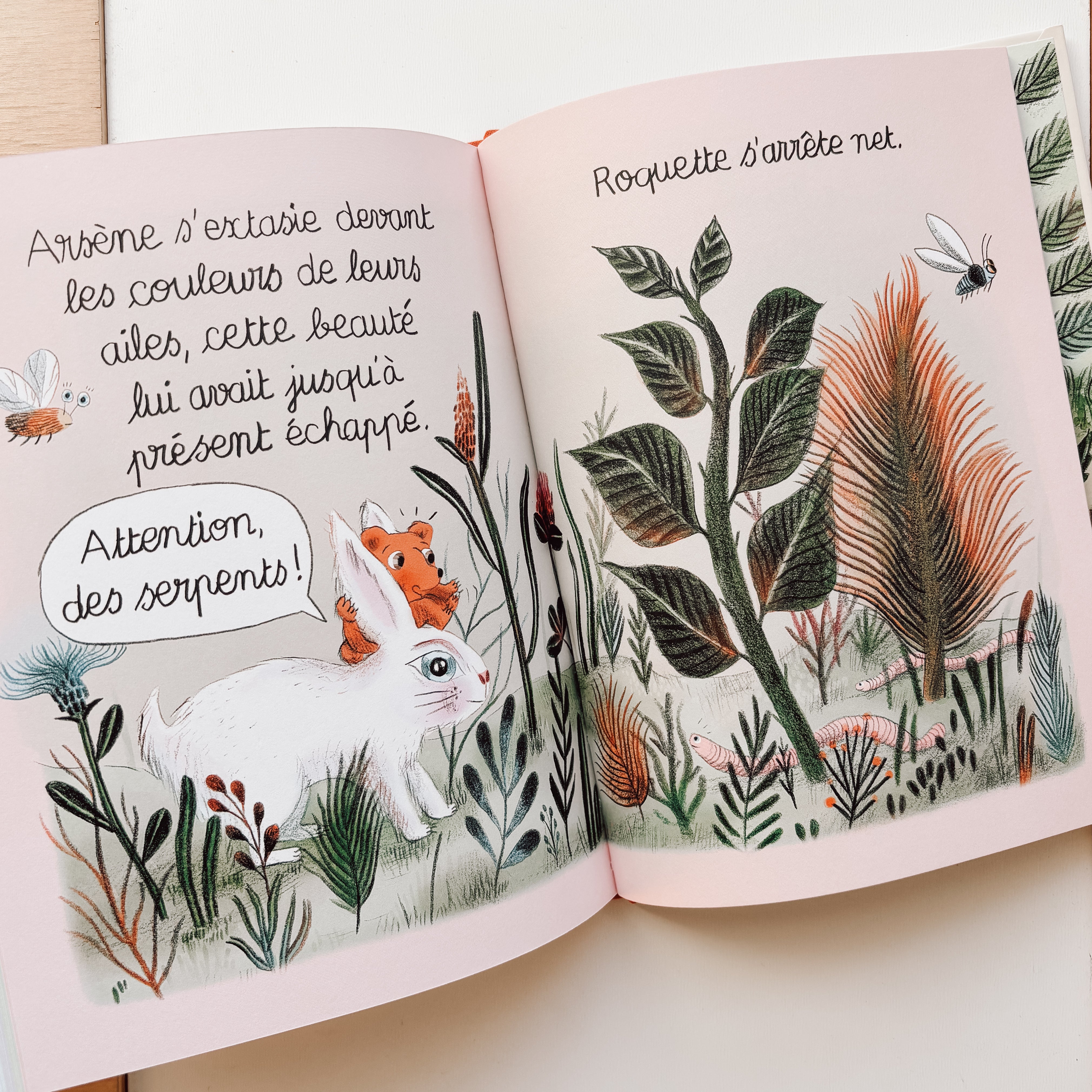 Livre d'histoire - La toute petite maison