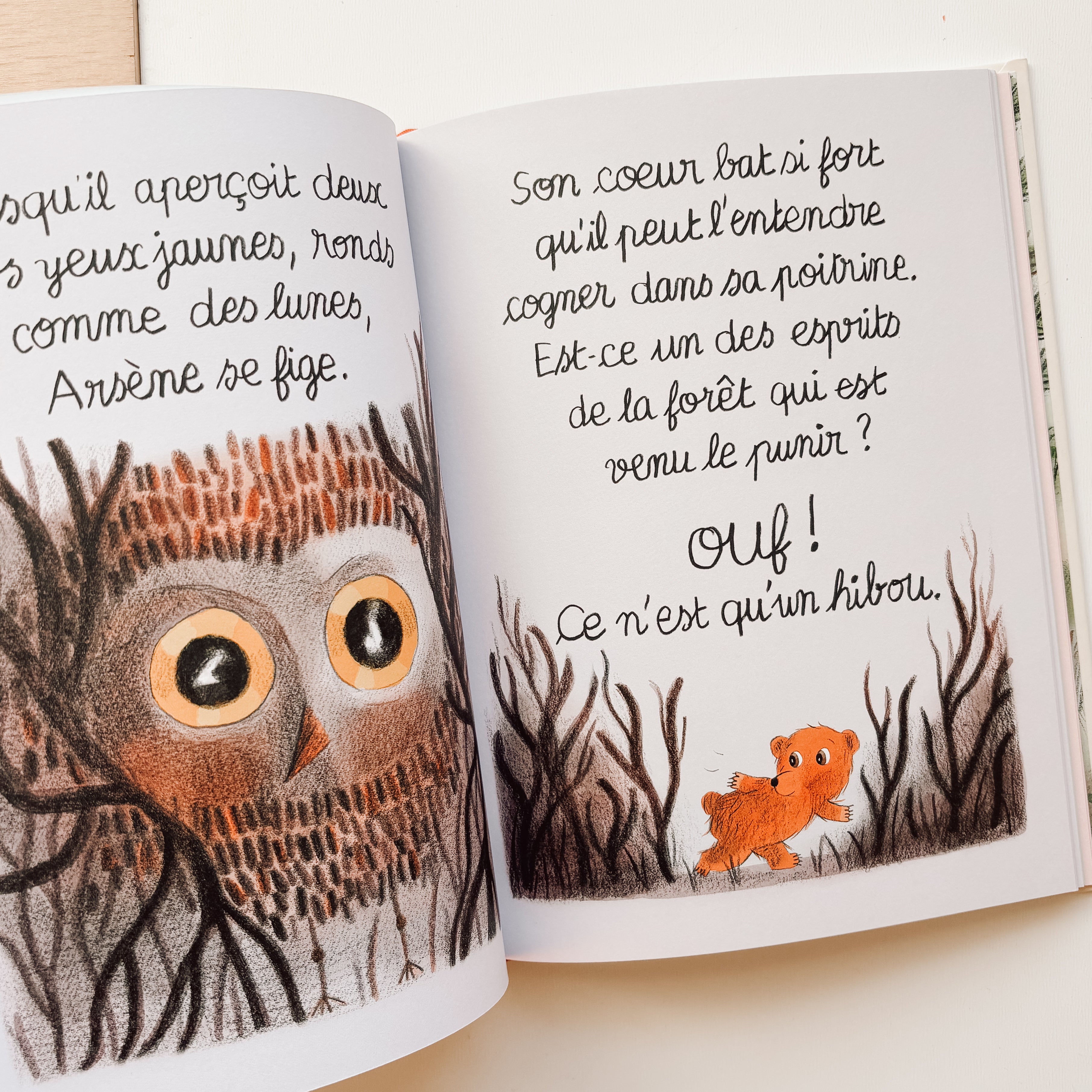 Livre d'histoire - La toute petite maison