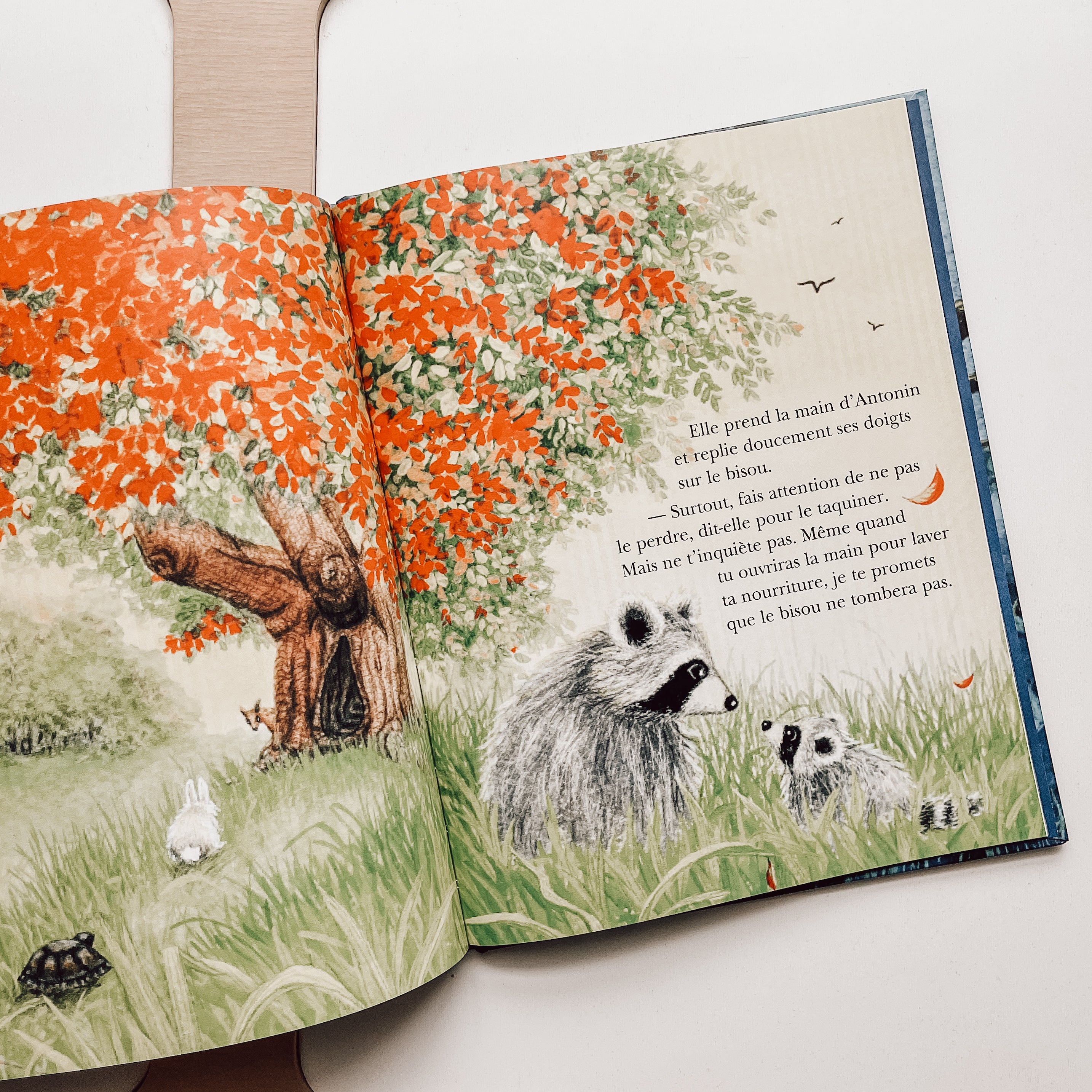 Livre d'histoire - Le bisou secret