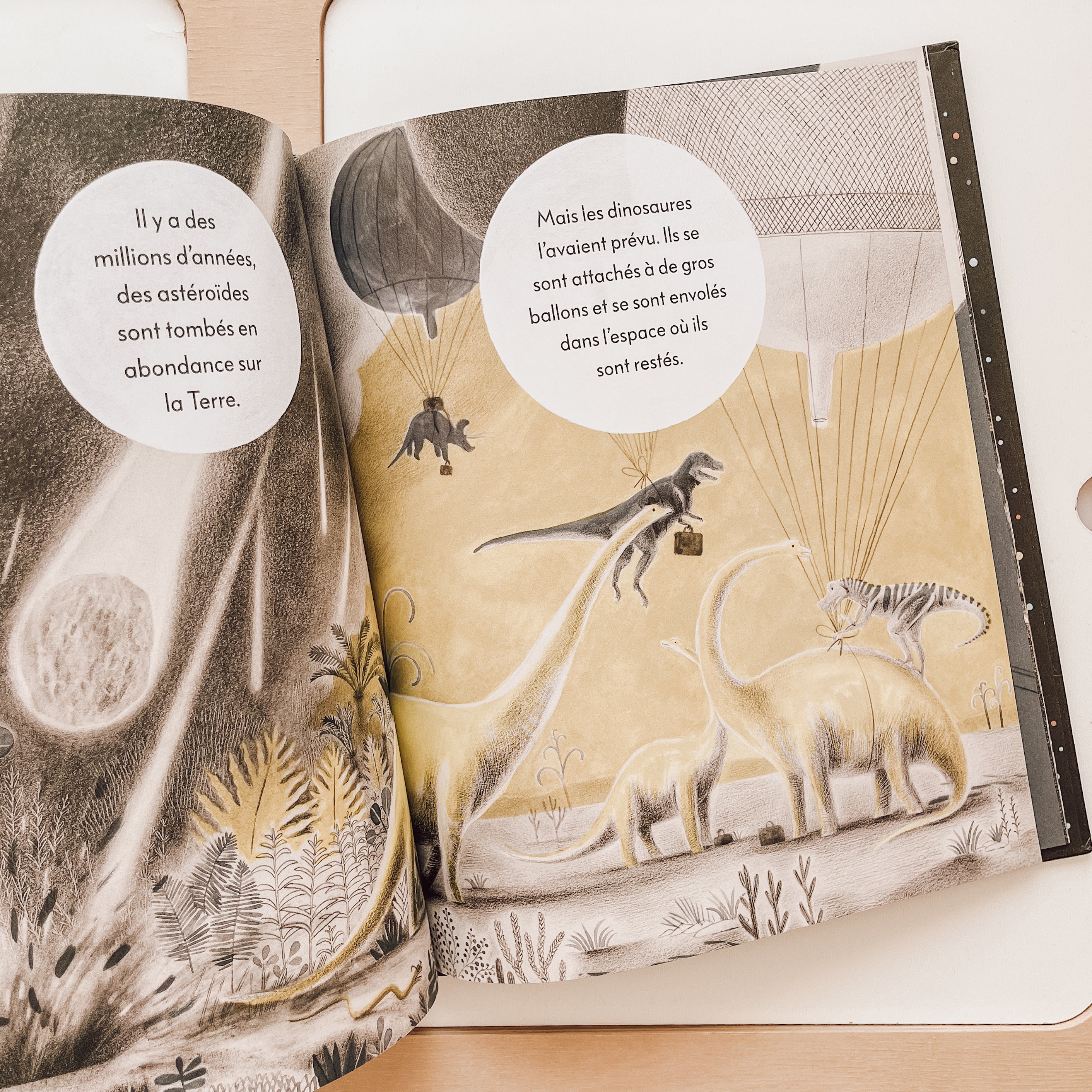 Livre d'histoire - Parce que