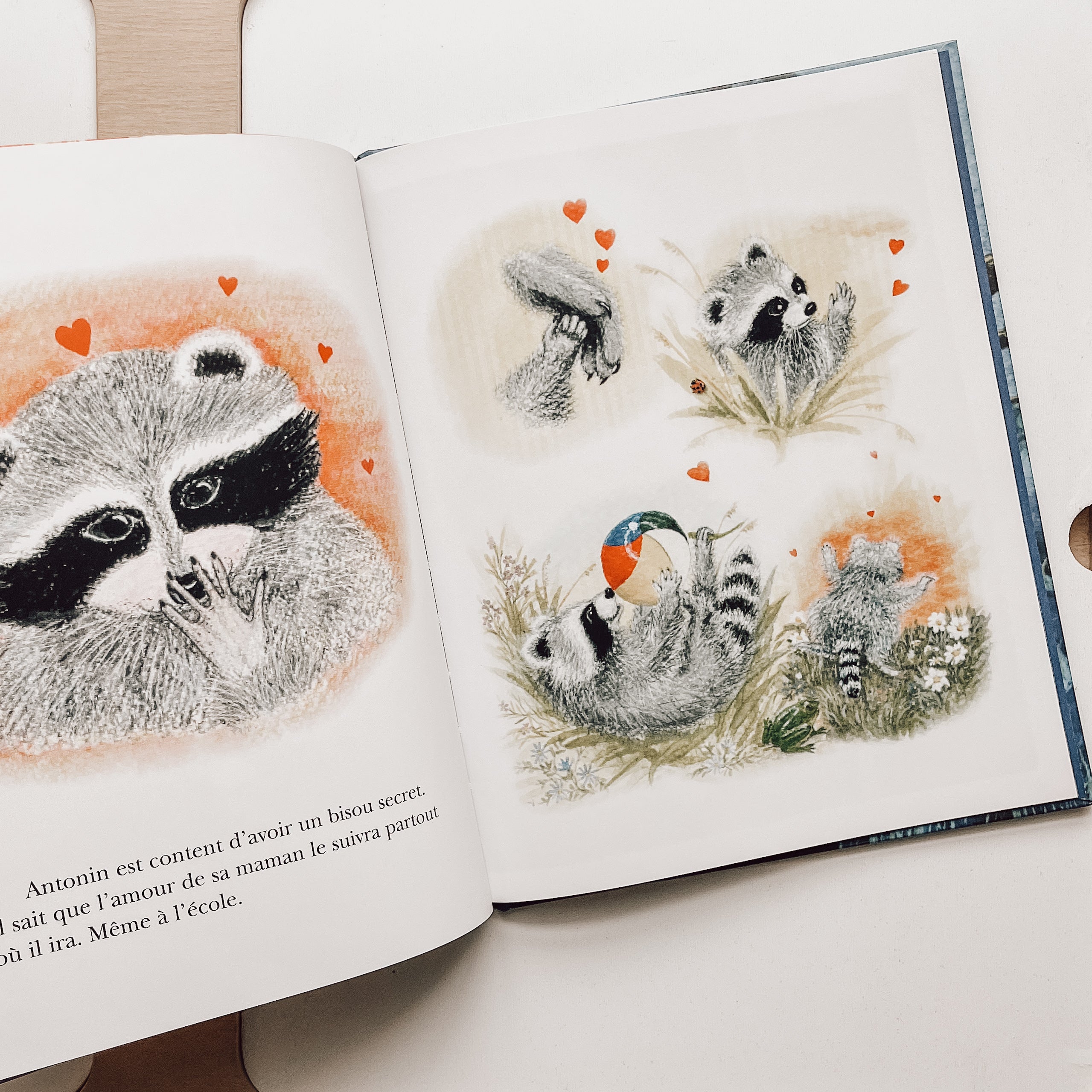 Livre d'histoire - Le bisou secret