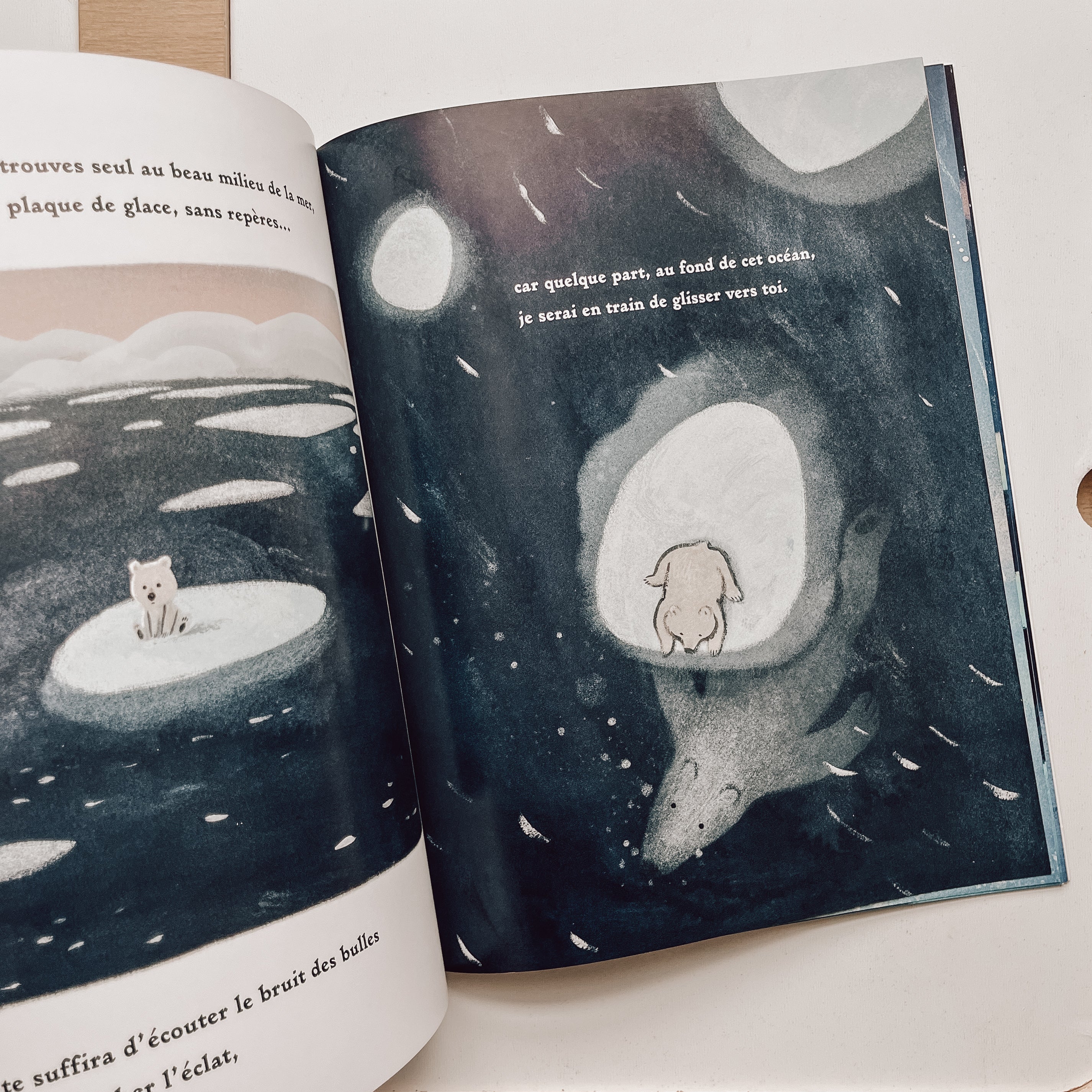 Livre d'histoire - Mon père, l'ours polaire