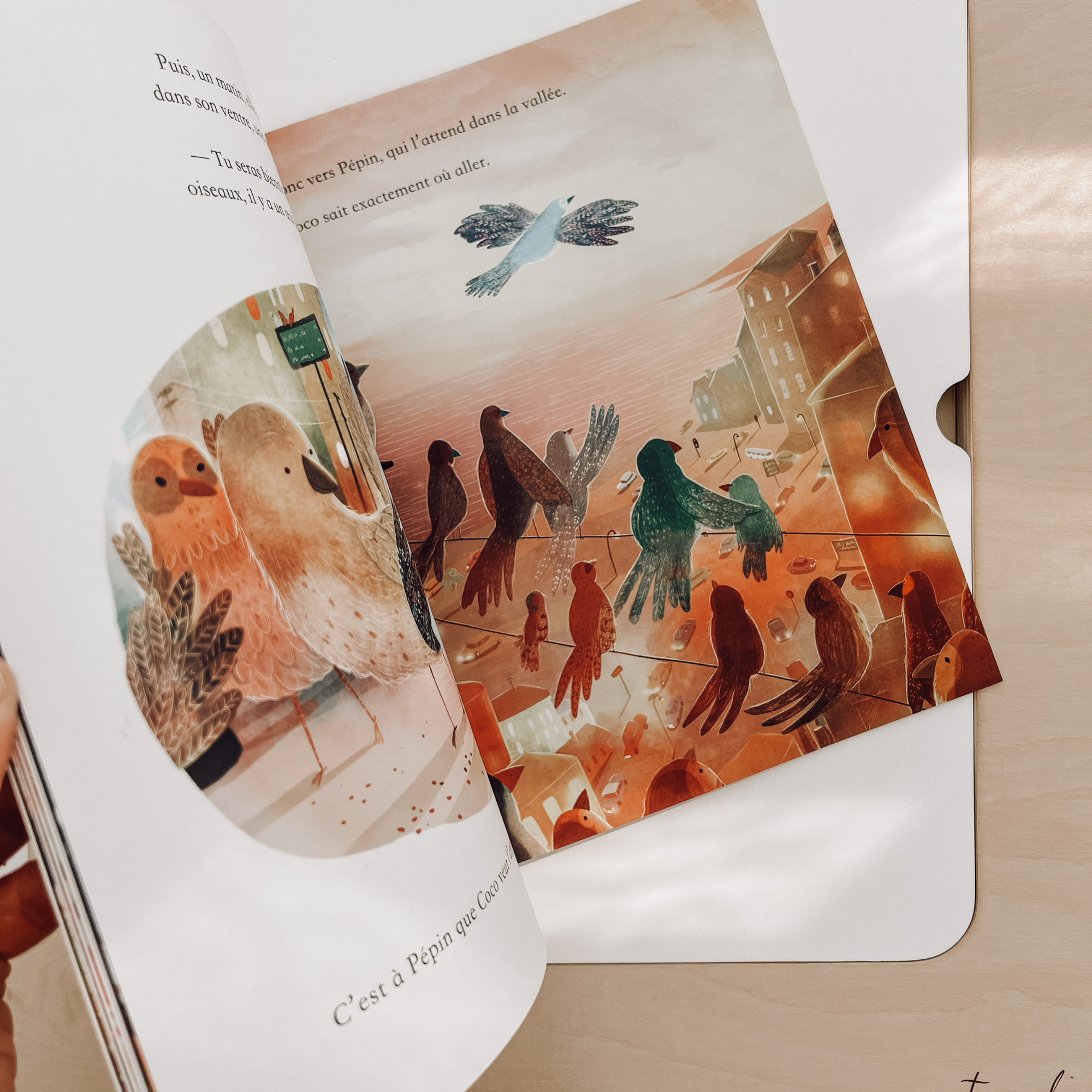 Livre d'histoire - Pépin et Coco