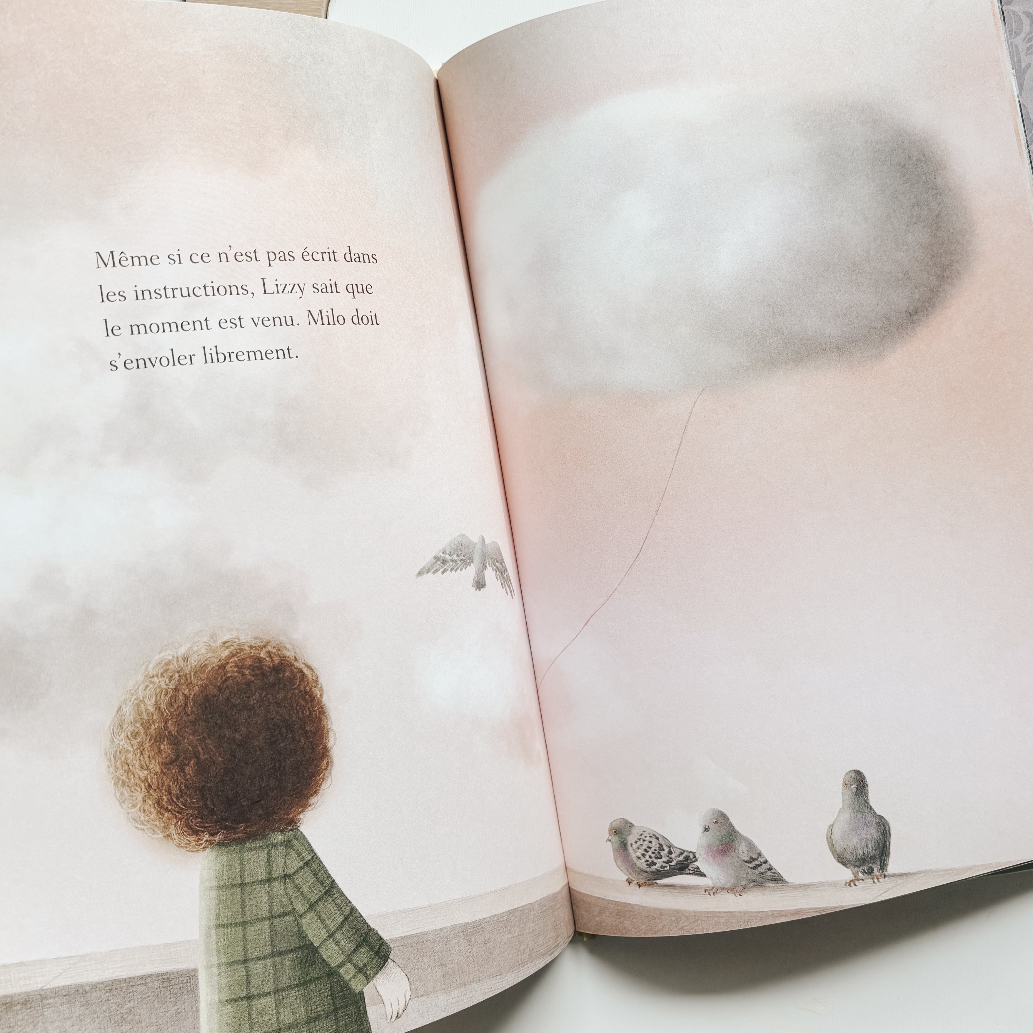 Livre d'histoire - Lizzie et son nuage