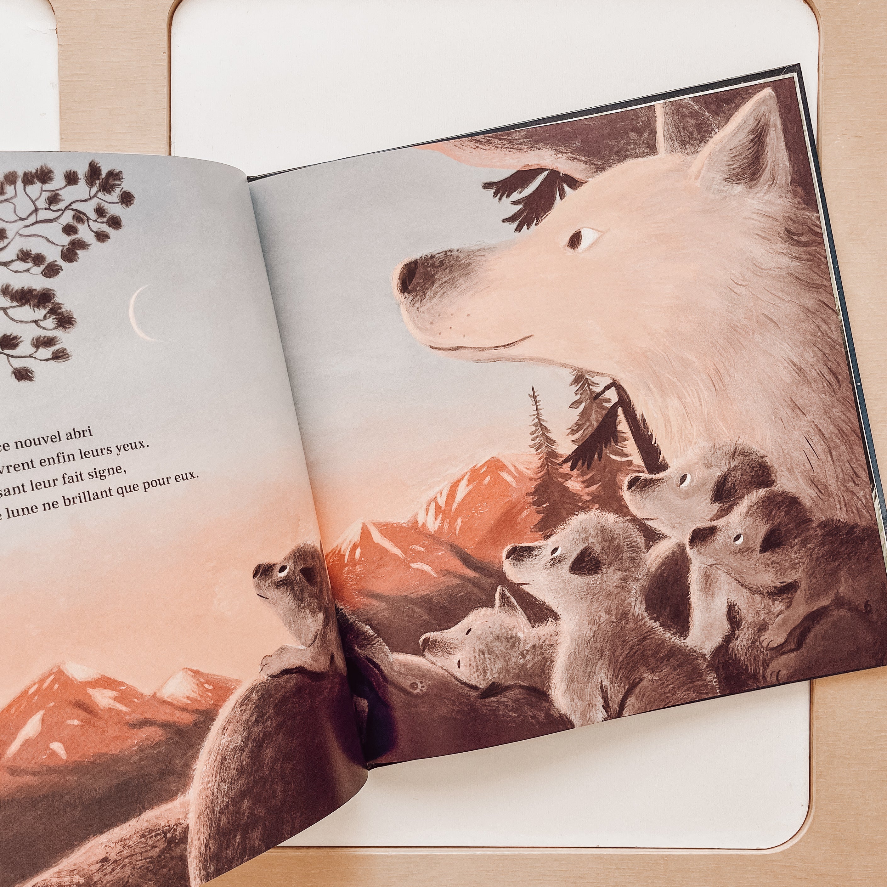 Livre d'histoire - Louveteaux au clair de lune