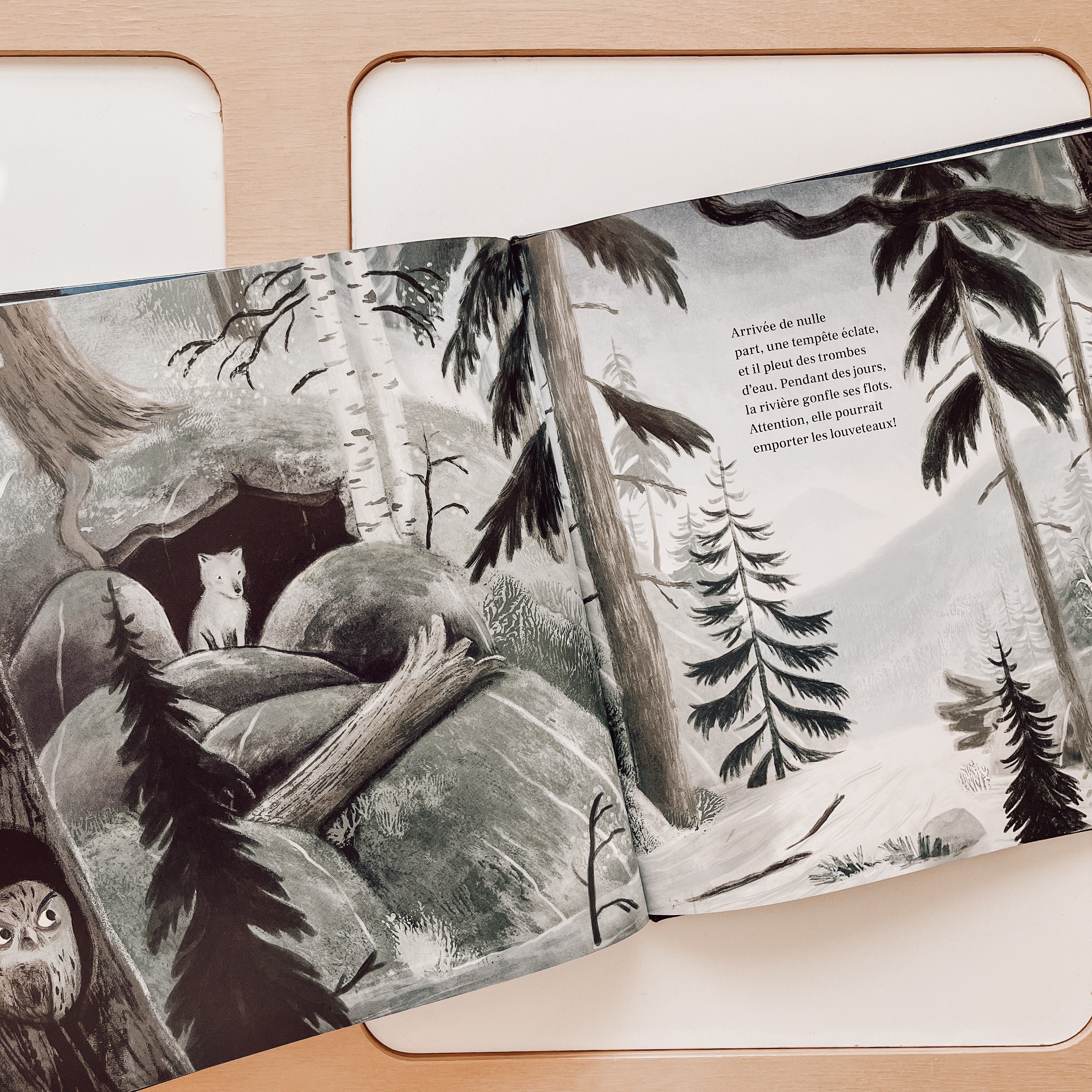 Livre d'histoire - Louveteaux au clair de lune