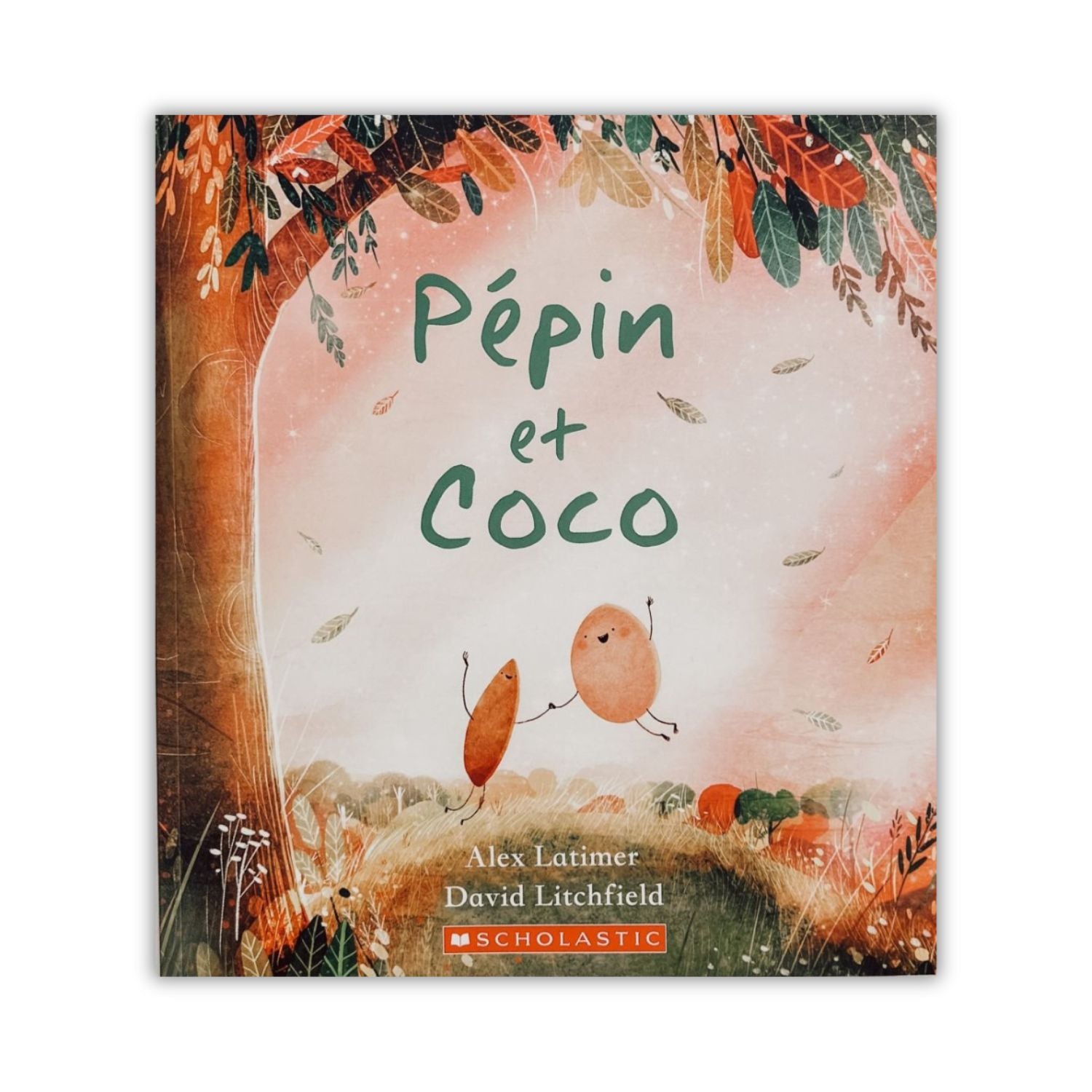 Livre d'histoire - Pépin et Coco