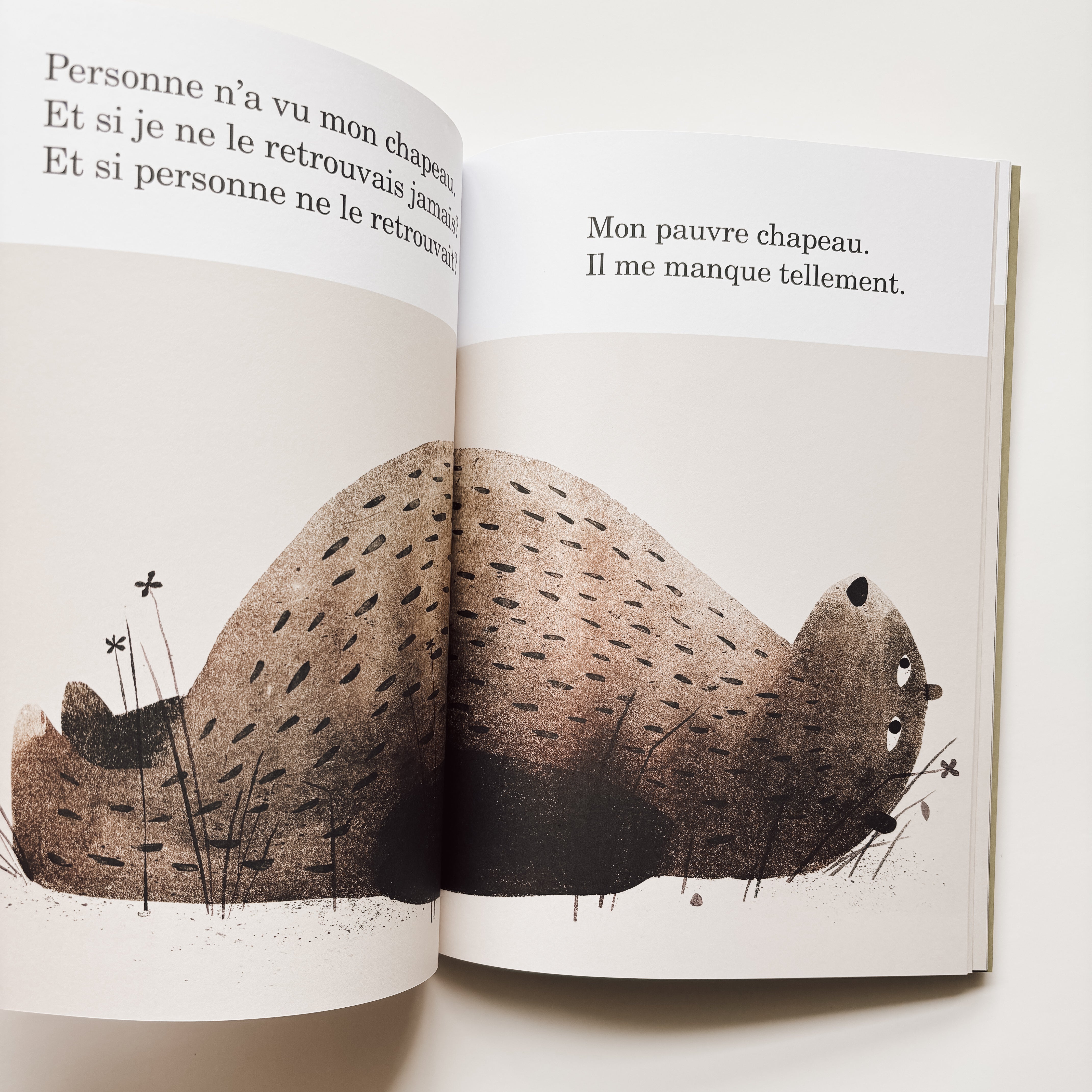 Livre d'histoire - Rendez-moi mon chapeau