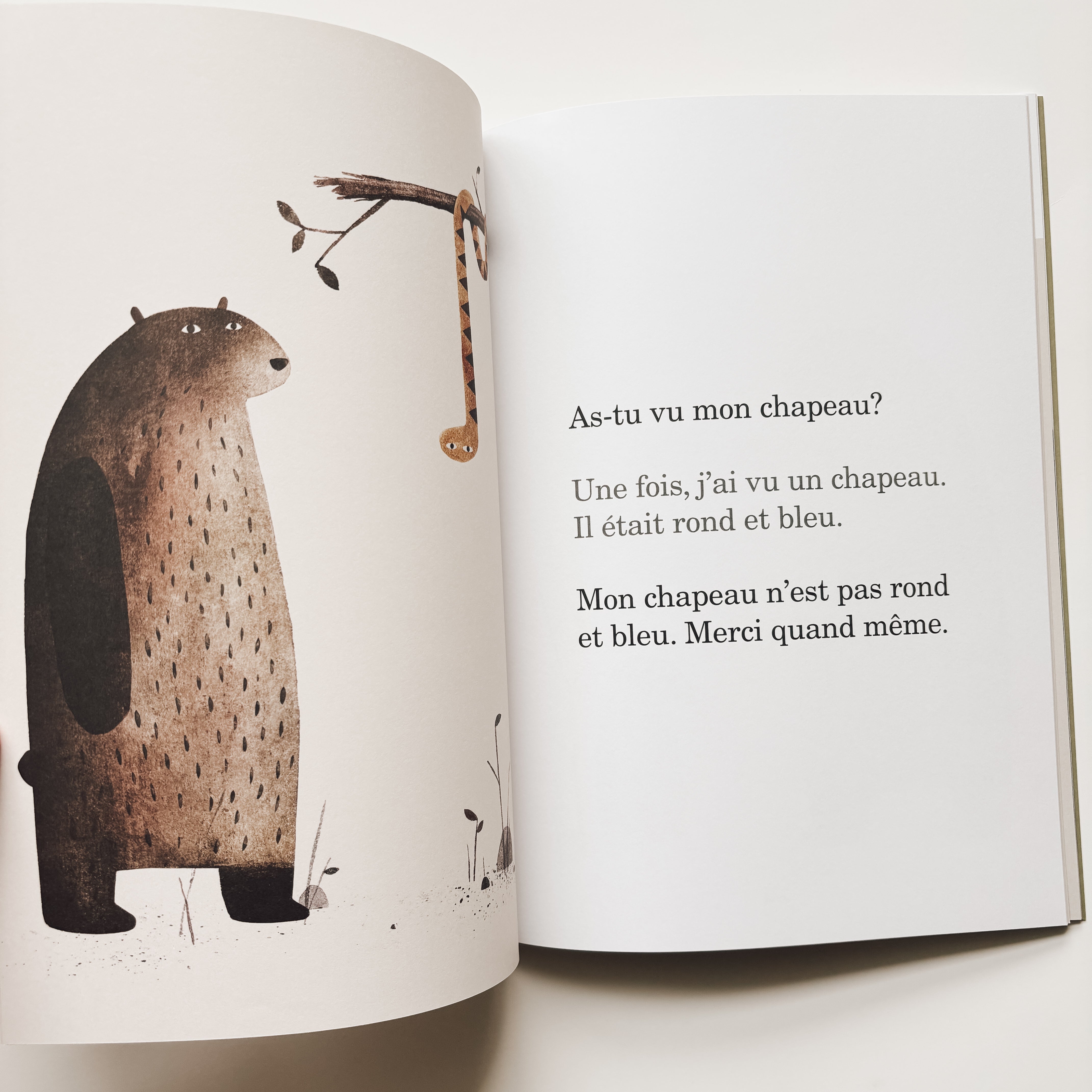 Livre d'histoire - Rendez-moi mon chapeau