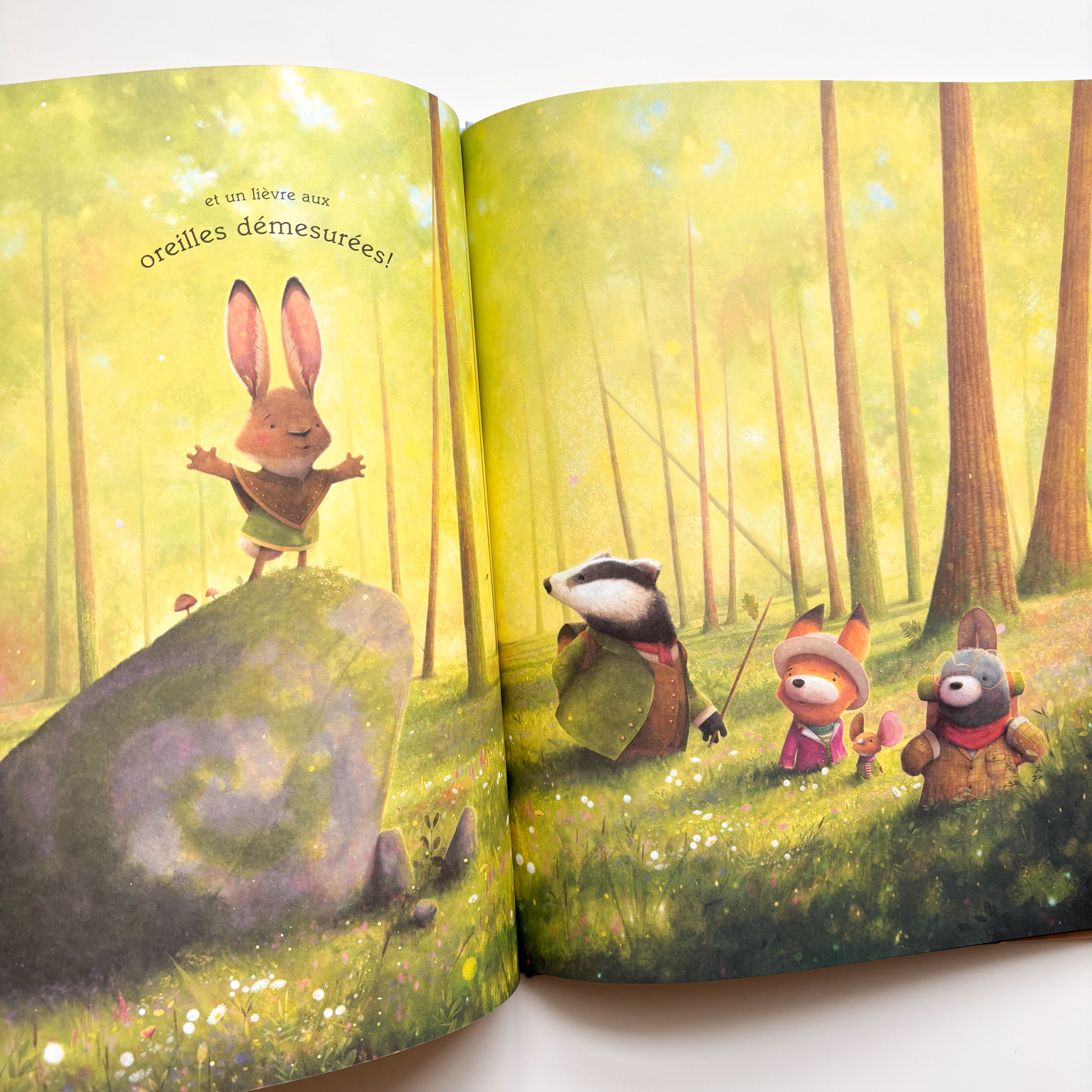 Livre d'histoire - Suis-moi