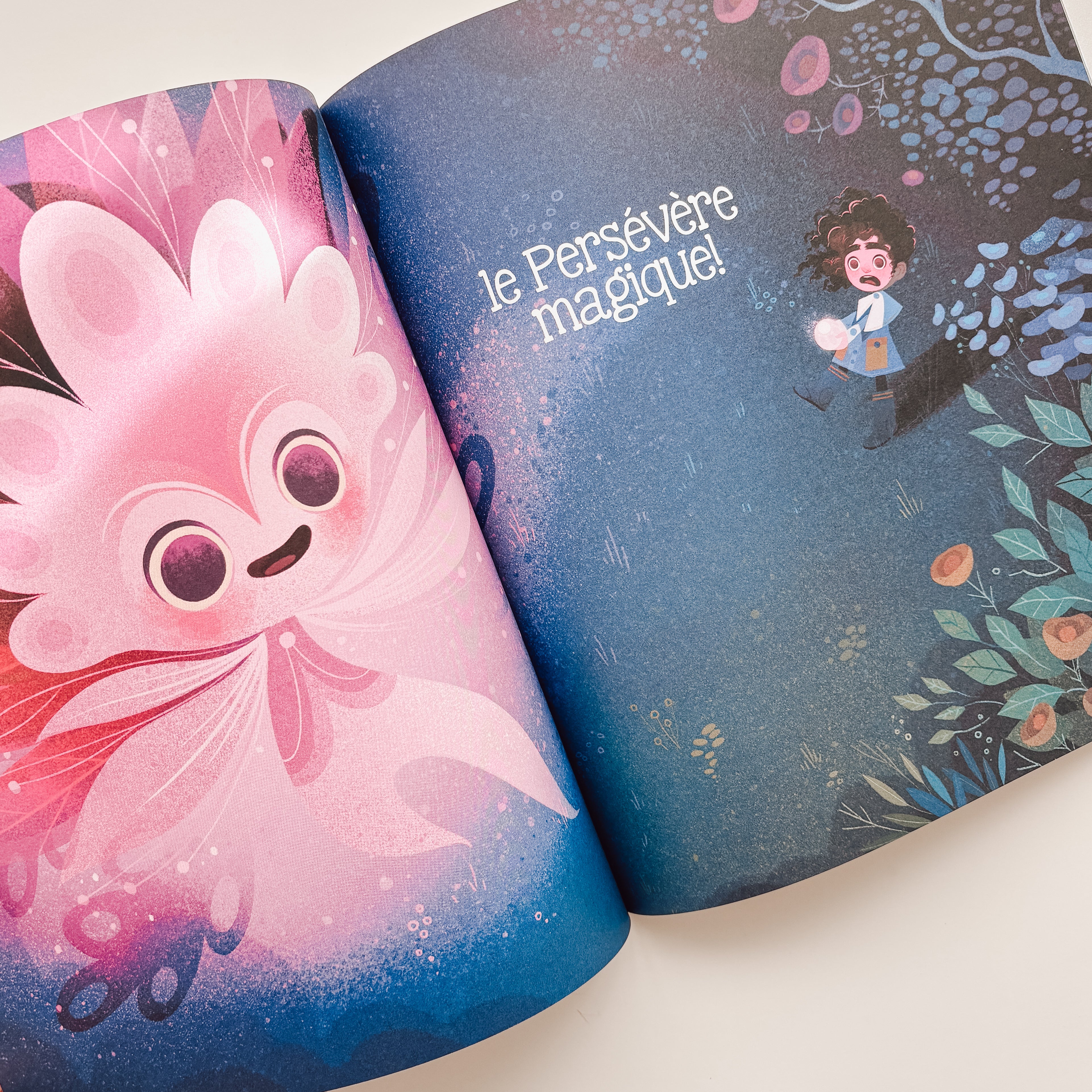 Livre d'histoire - Tu y arriveras