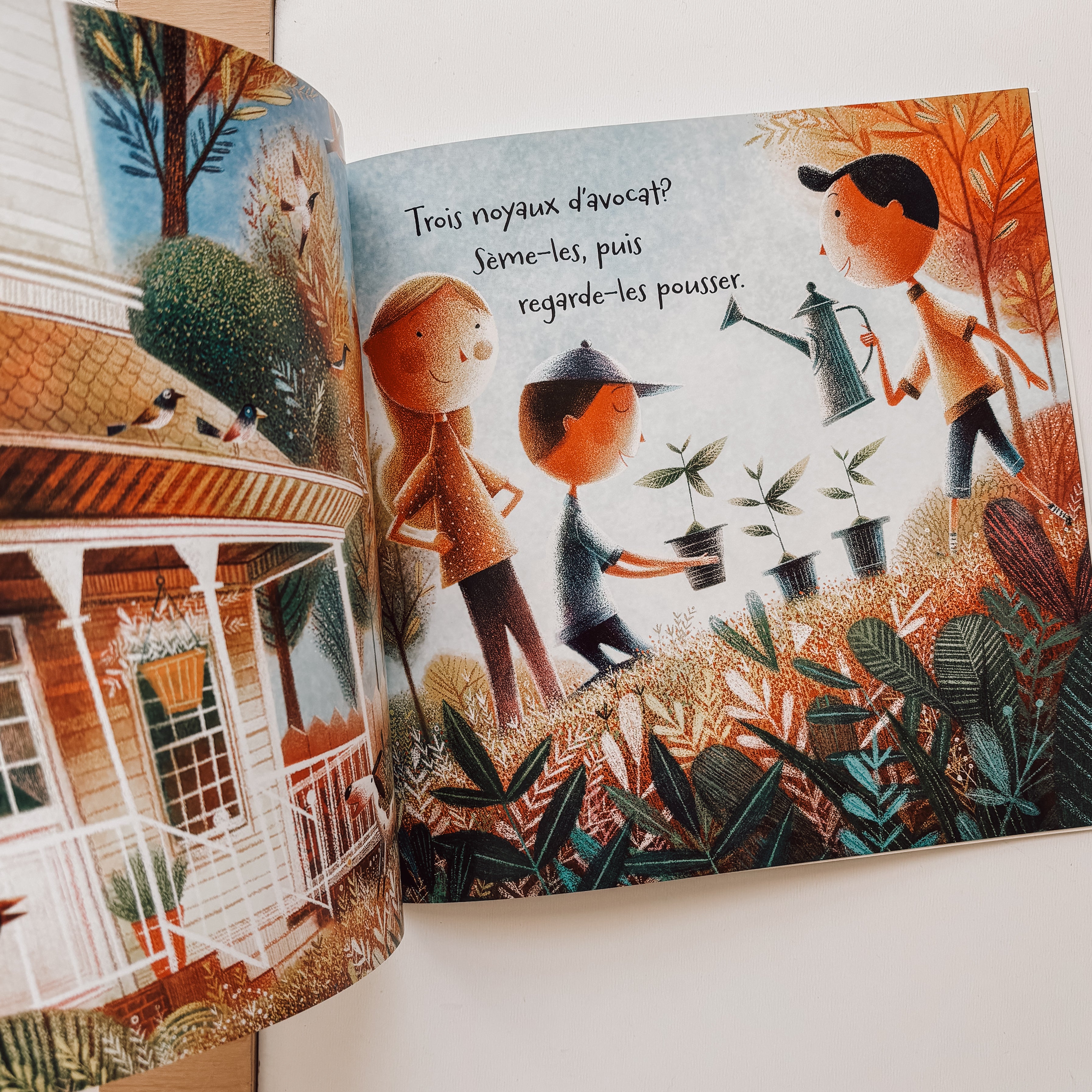 Livre d'histoire - Une seule terre