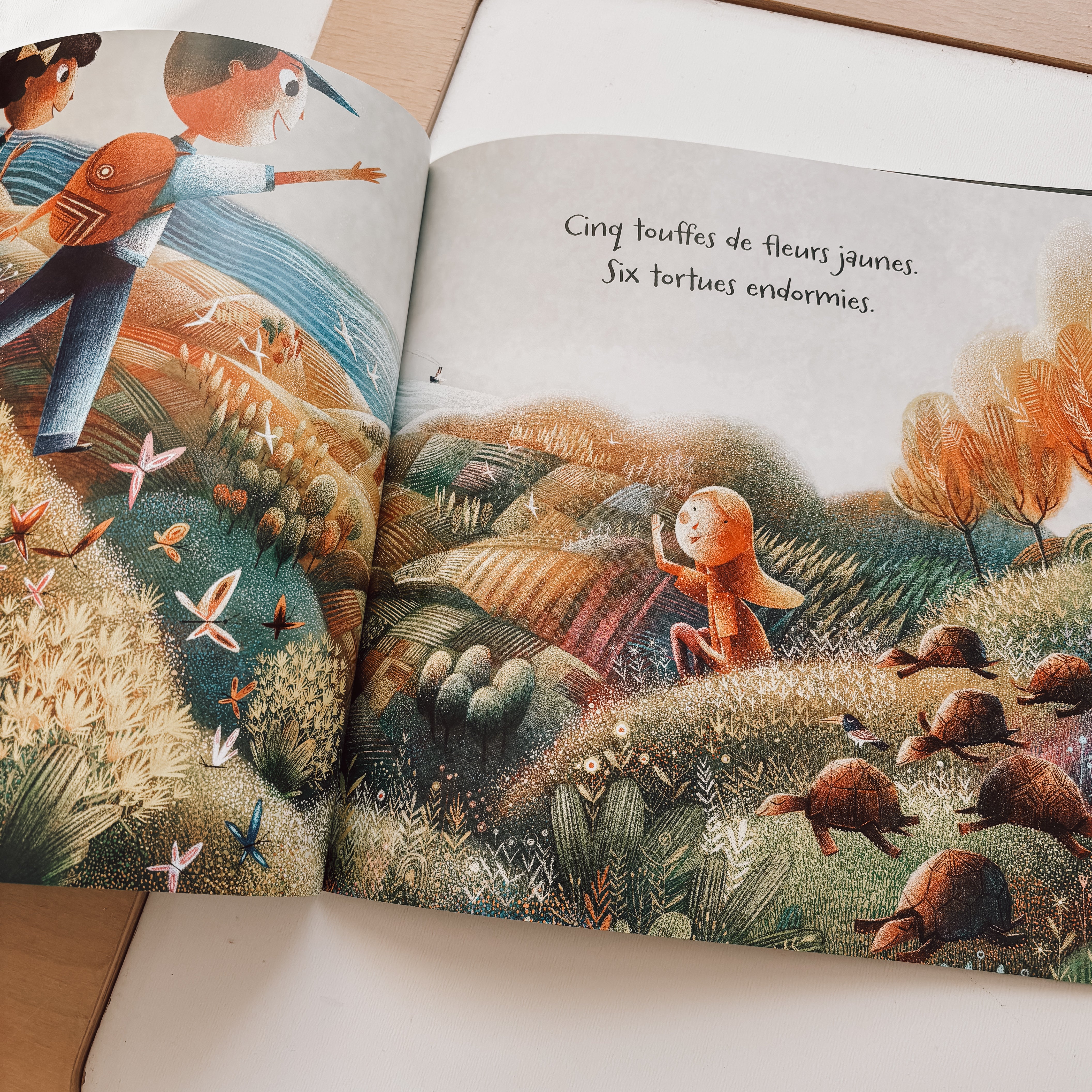 Livre d'histoire - Une seule terre