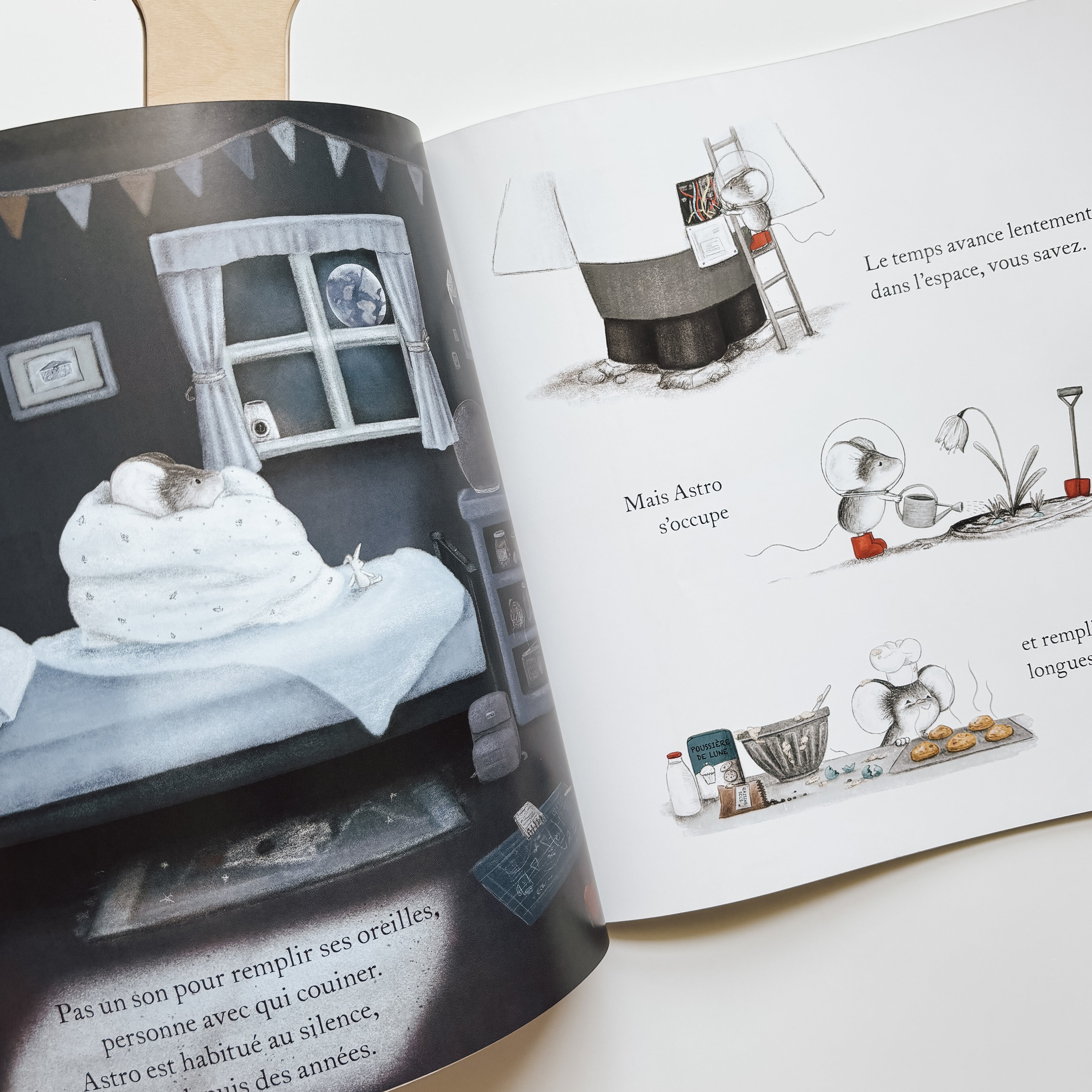 Livre d'histoire - Une souris sur la lune