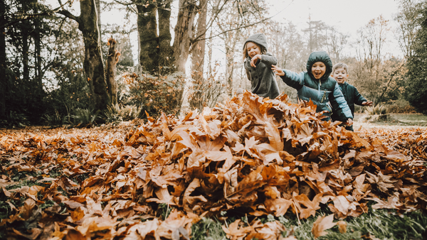 15 activités éducatives à réaliser avec des feuilles d'automne!