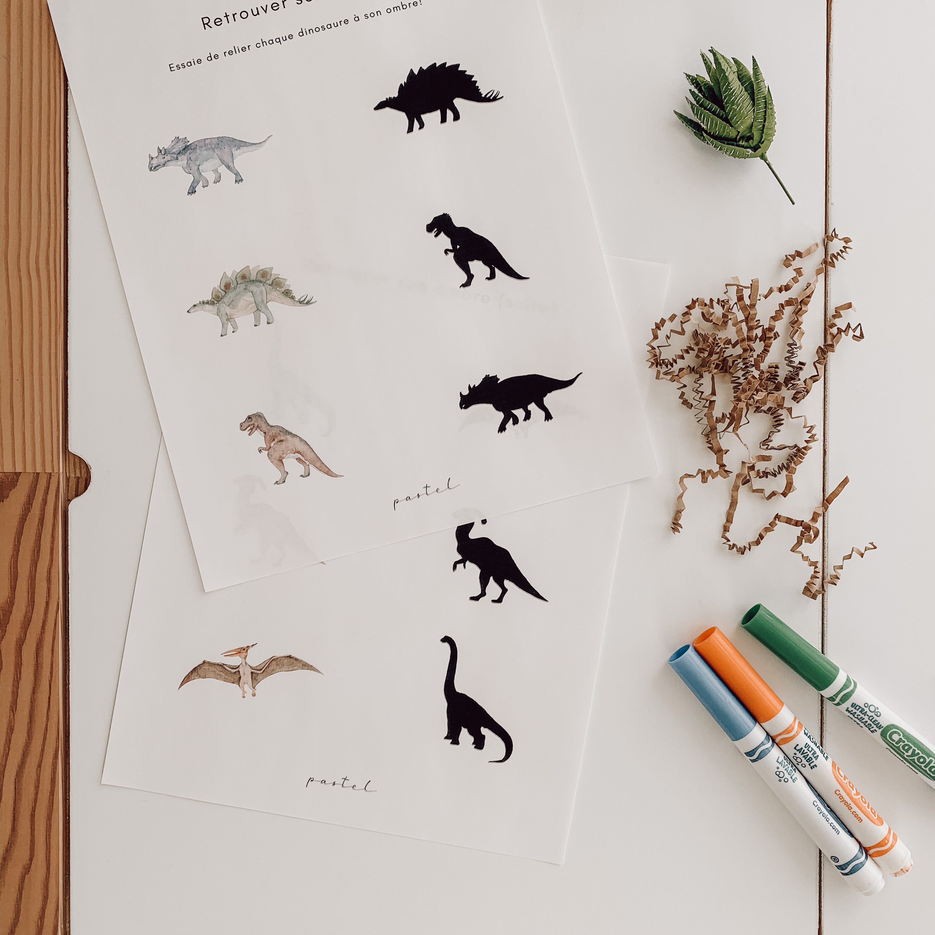 Activity Book - To be Printed - Dinosaurs