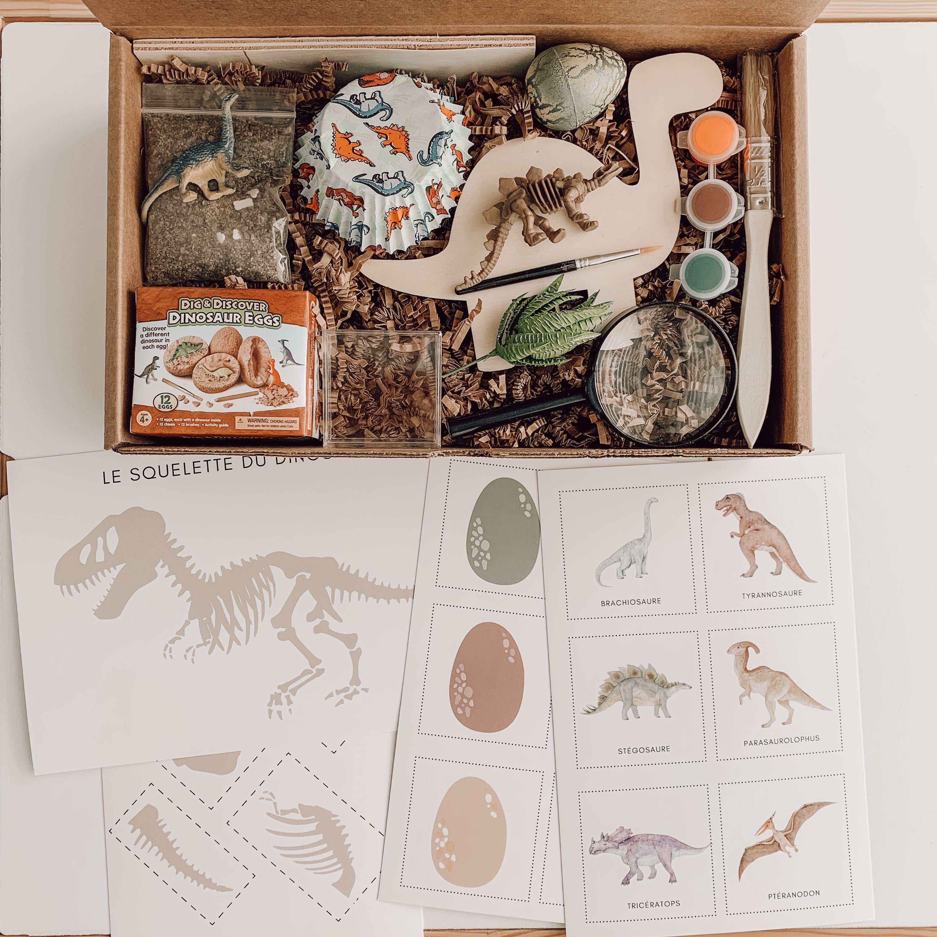 Activity Box - Dinosaurs (2-6 years old)