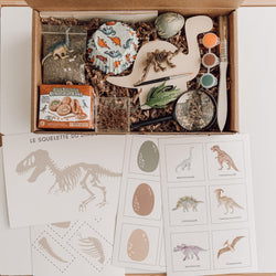 Boîte Ludique - Dinosaures (2-6 ans)