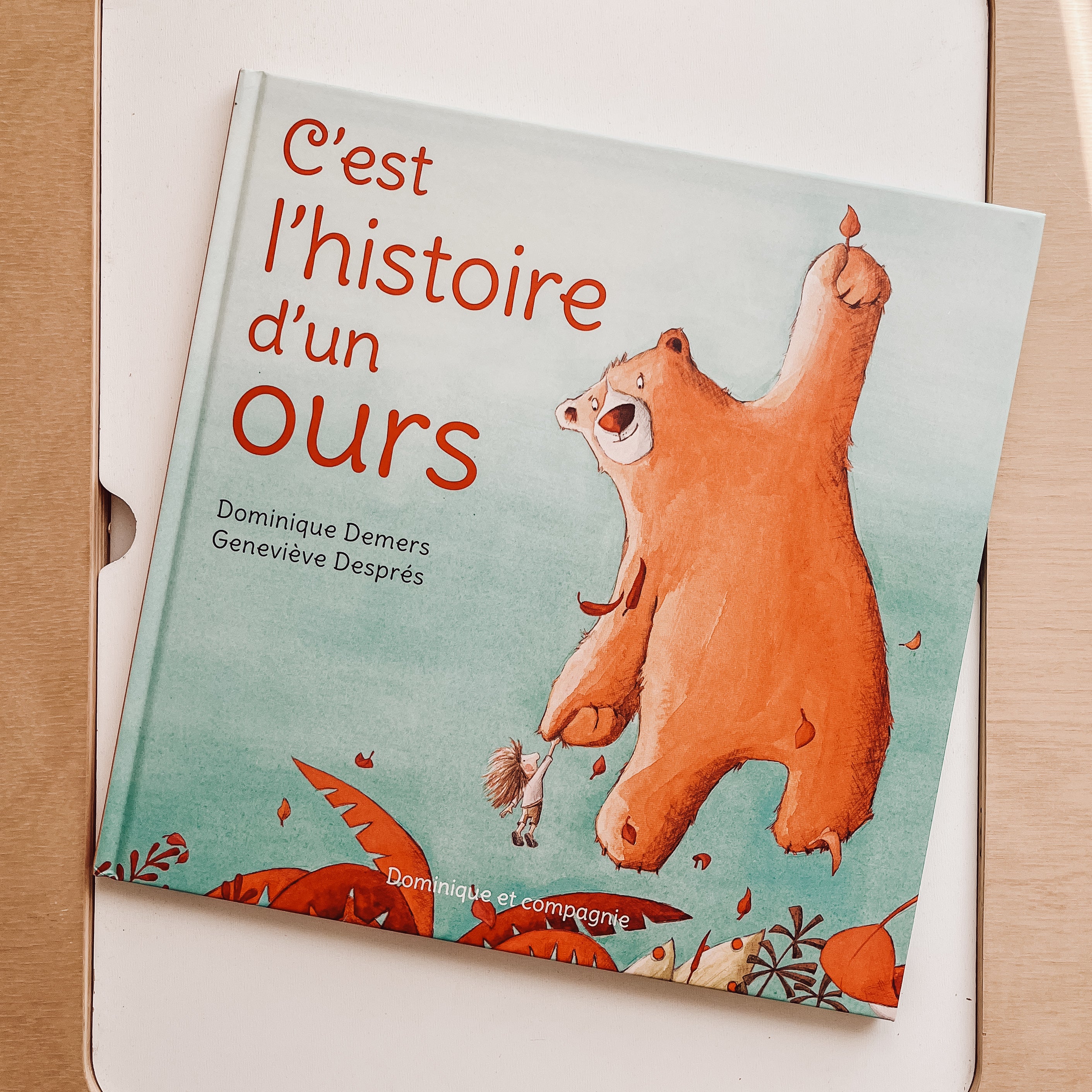 Livre d'histoire - C'est l'histoire d'un ours