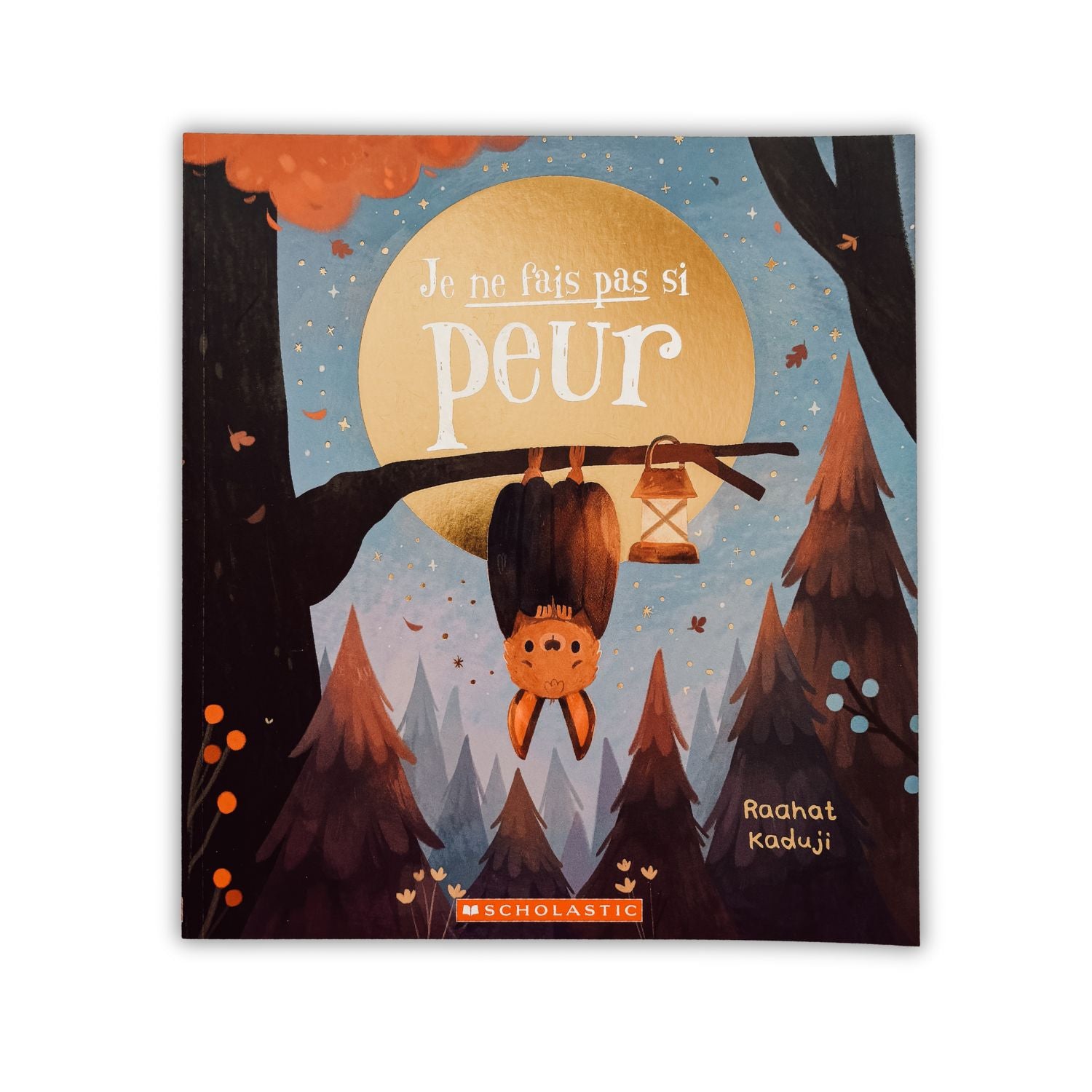 Livre d'histoire - Je ne fais pas si peur
