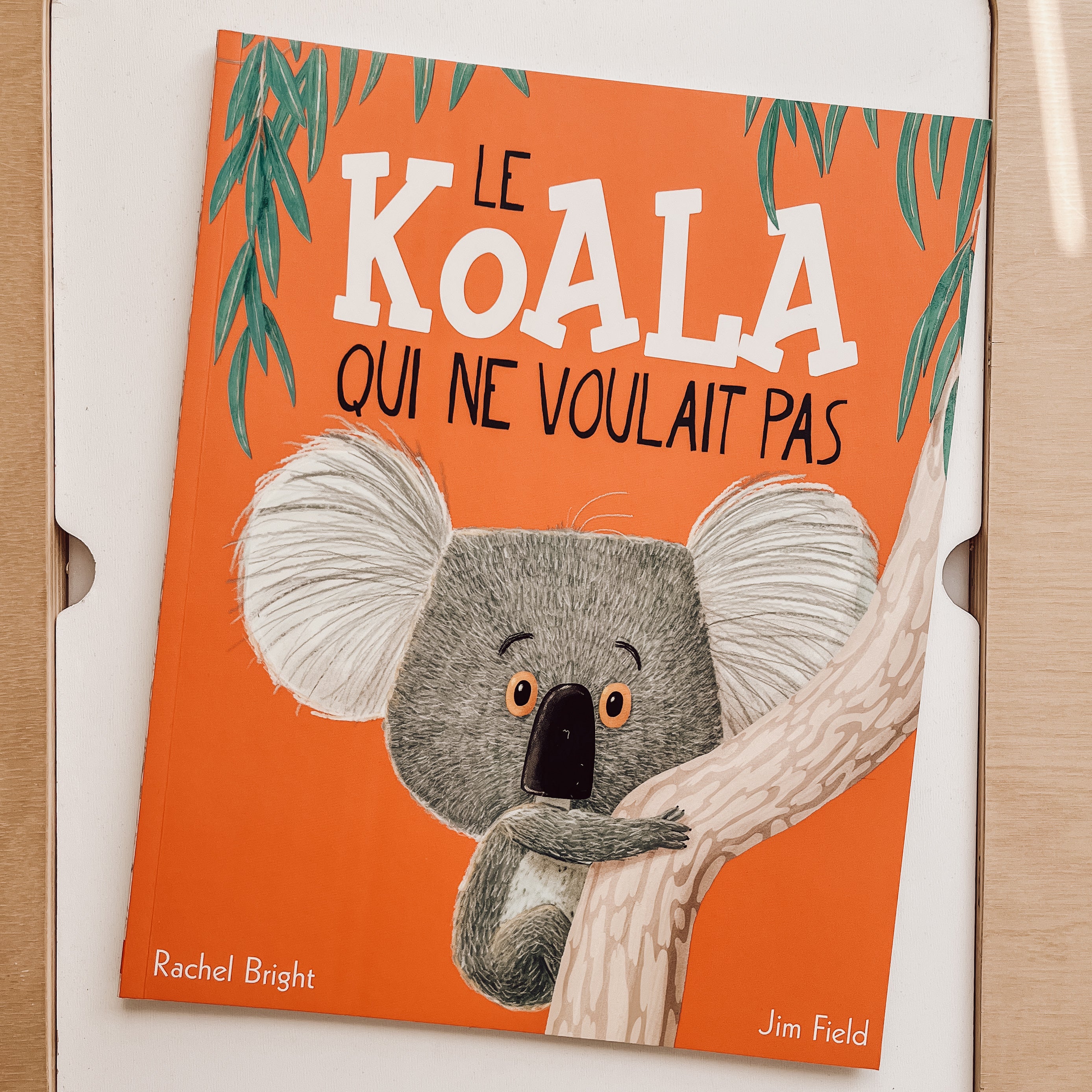 Livre d'histoire - Le Koala qui ne voulait pas