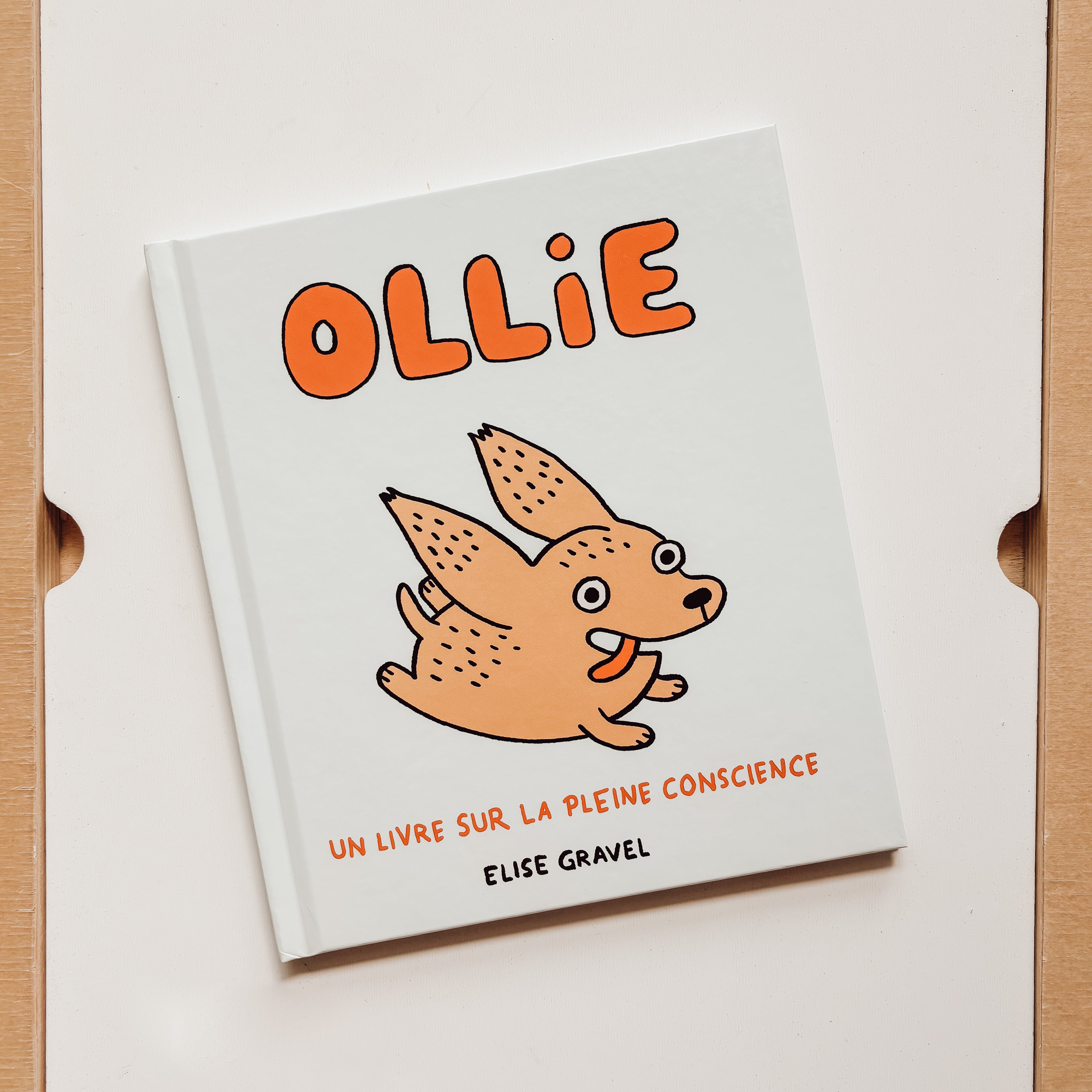 Livre d'histoire - Ollie