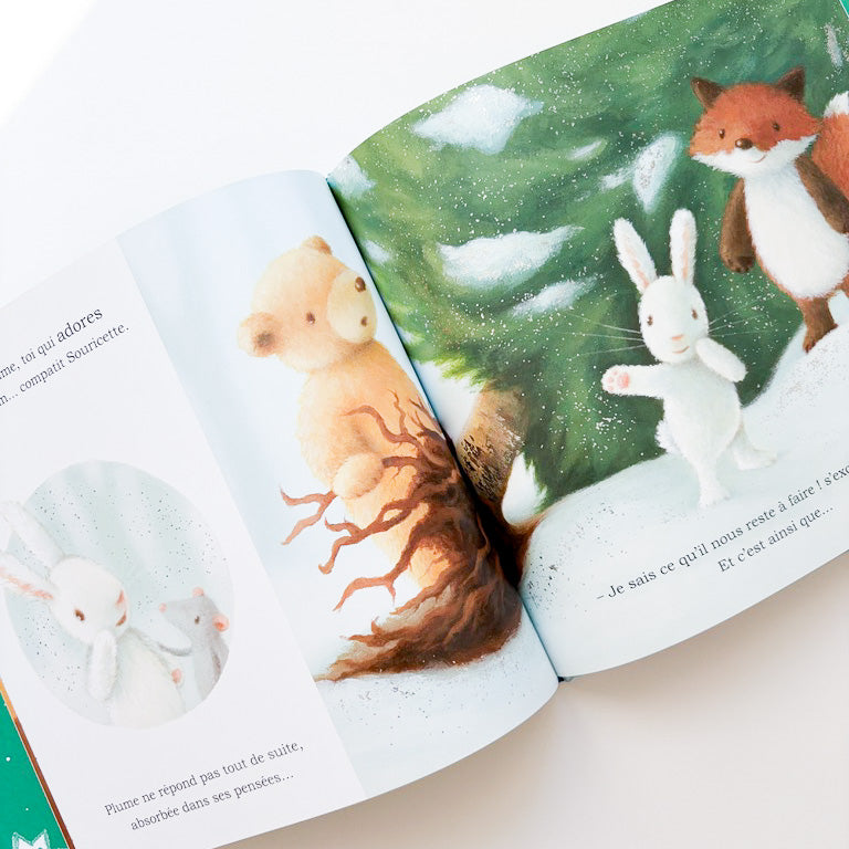 Livre d'histoire - Plume et le sapin de Noël