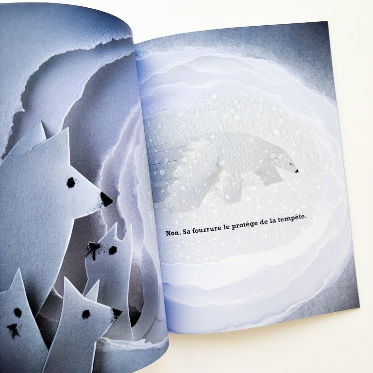 Livre d'histoire - Un ours polaire dans la neige
