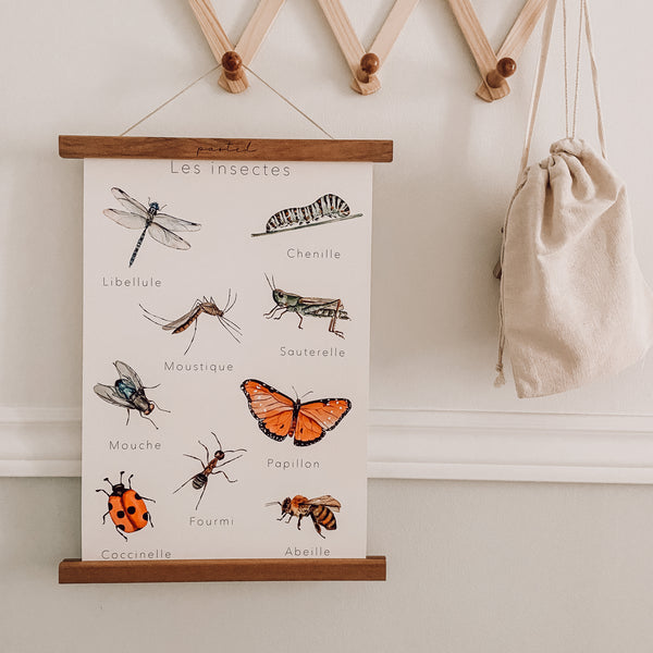 Decorative & Educational Poster "Insects"