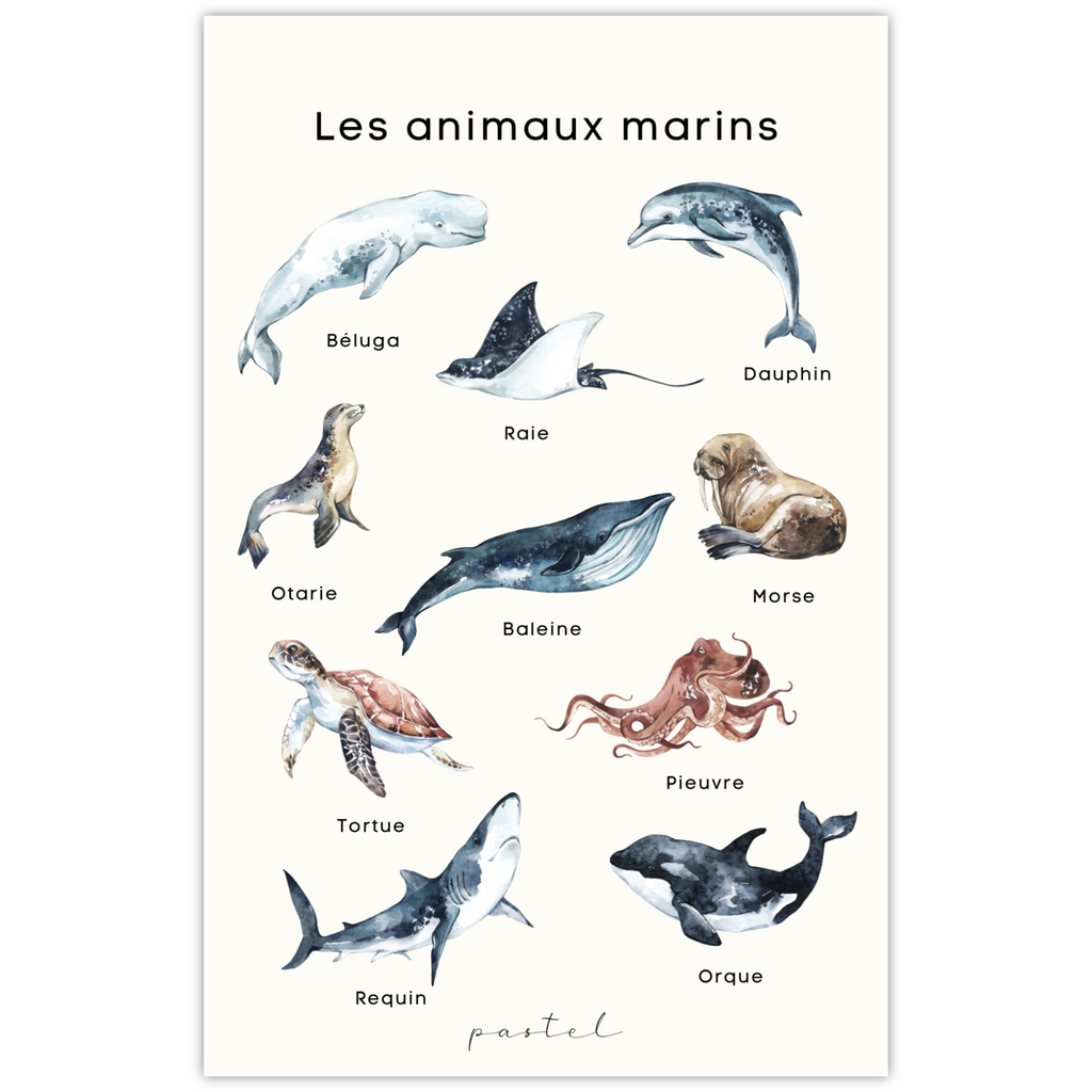 Modèle D'Apprentissage Animaux De La Mer Henbea - Réf 153977