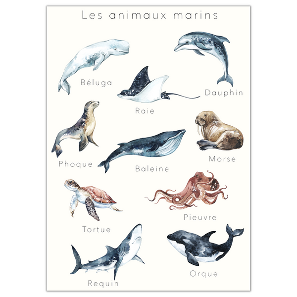 Affiche éducative & décorative "Les animaux marins"