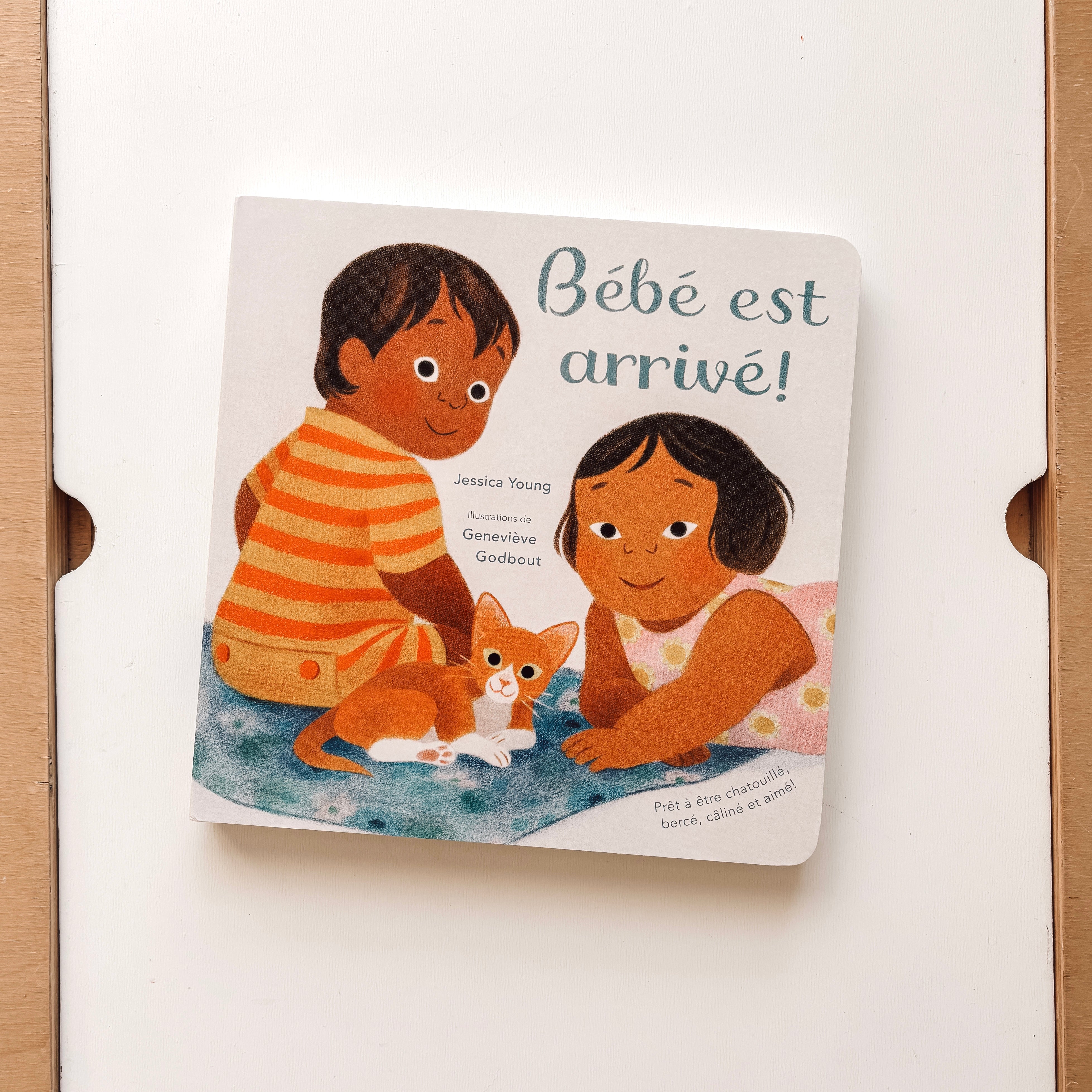 Livre d'histoire - Bébé est arrivé!