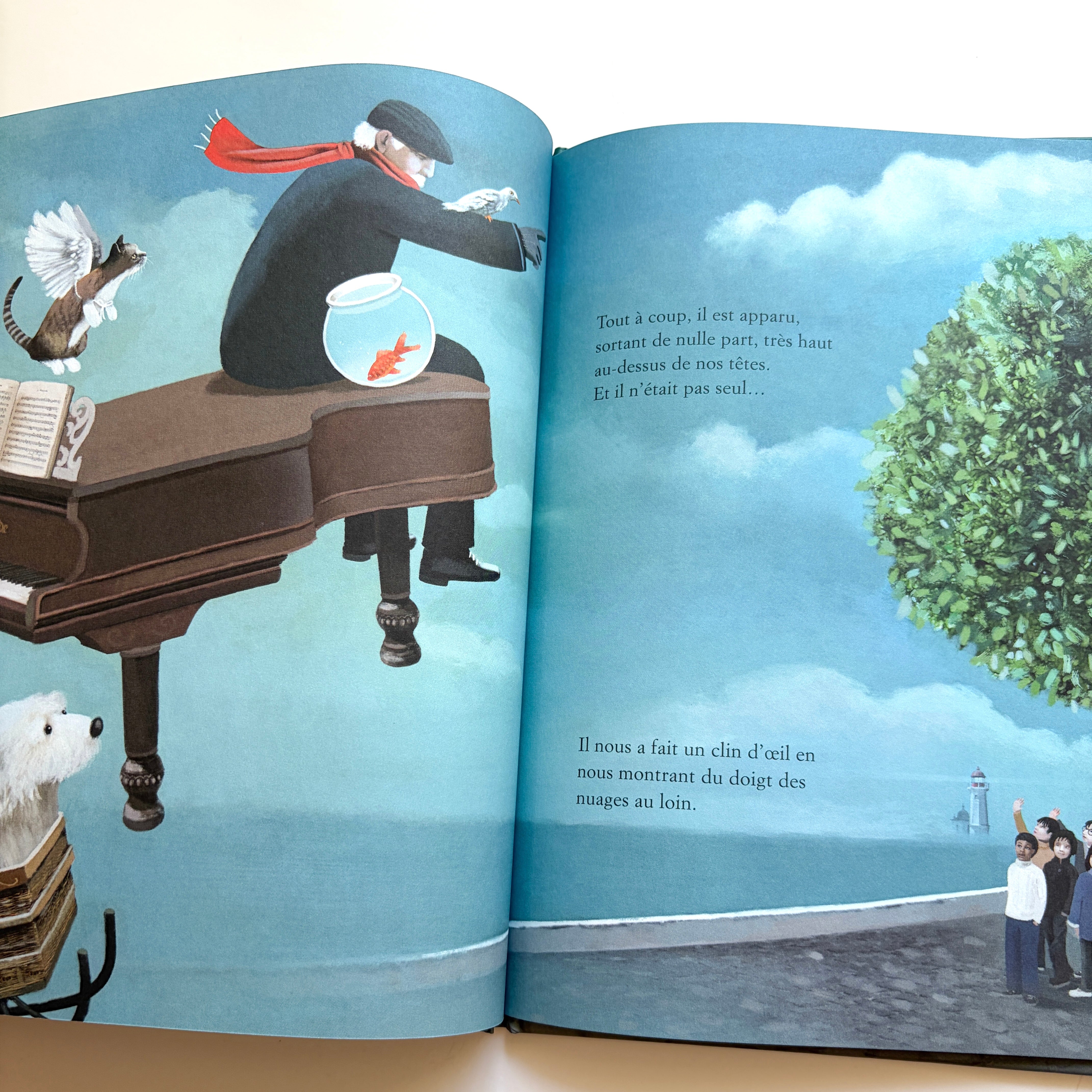 Livre d'histoire - Bon voyage, M. Rodriguez