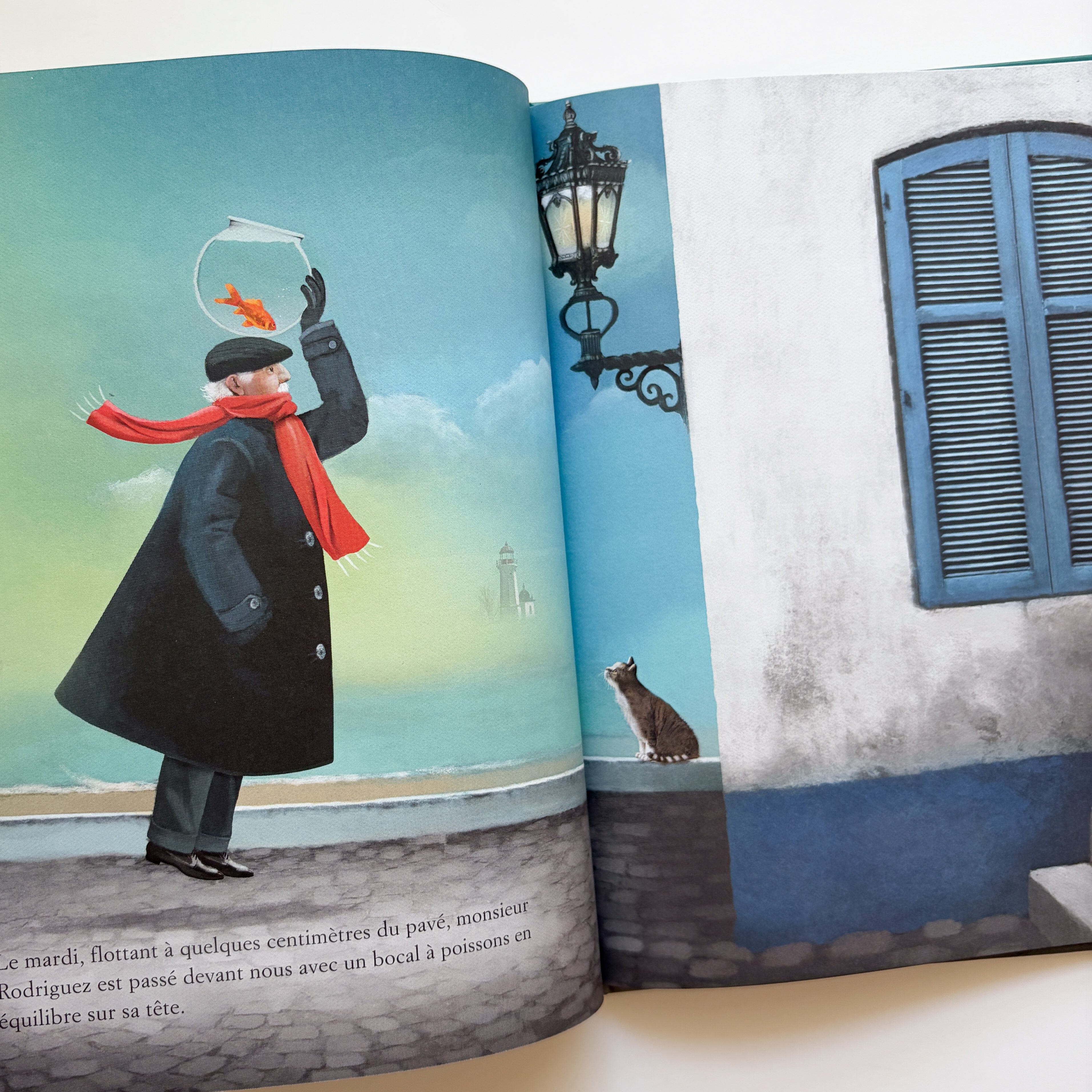 Livre d'histoire - Bon voyage, M. Rodriguez