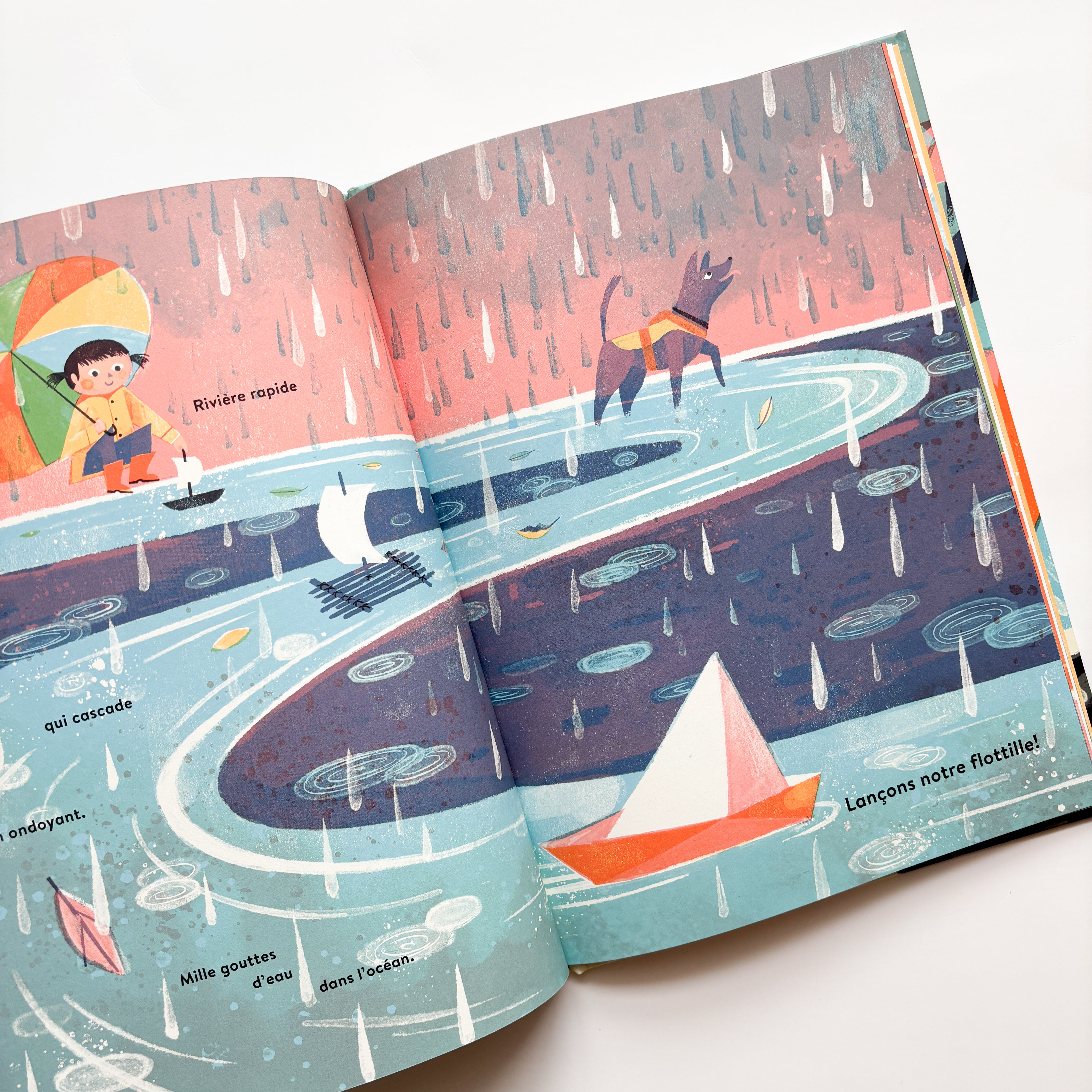 Livre d'histoire - Bonjour, la pluie