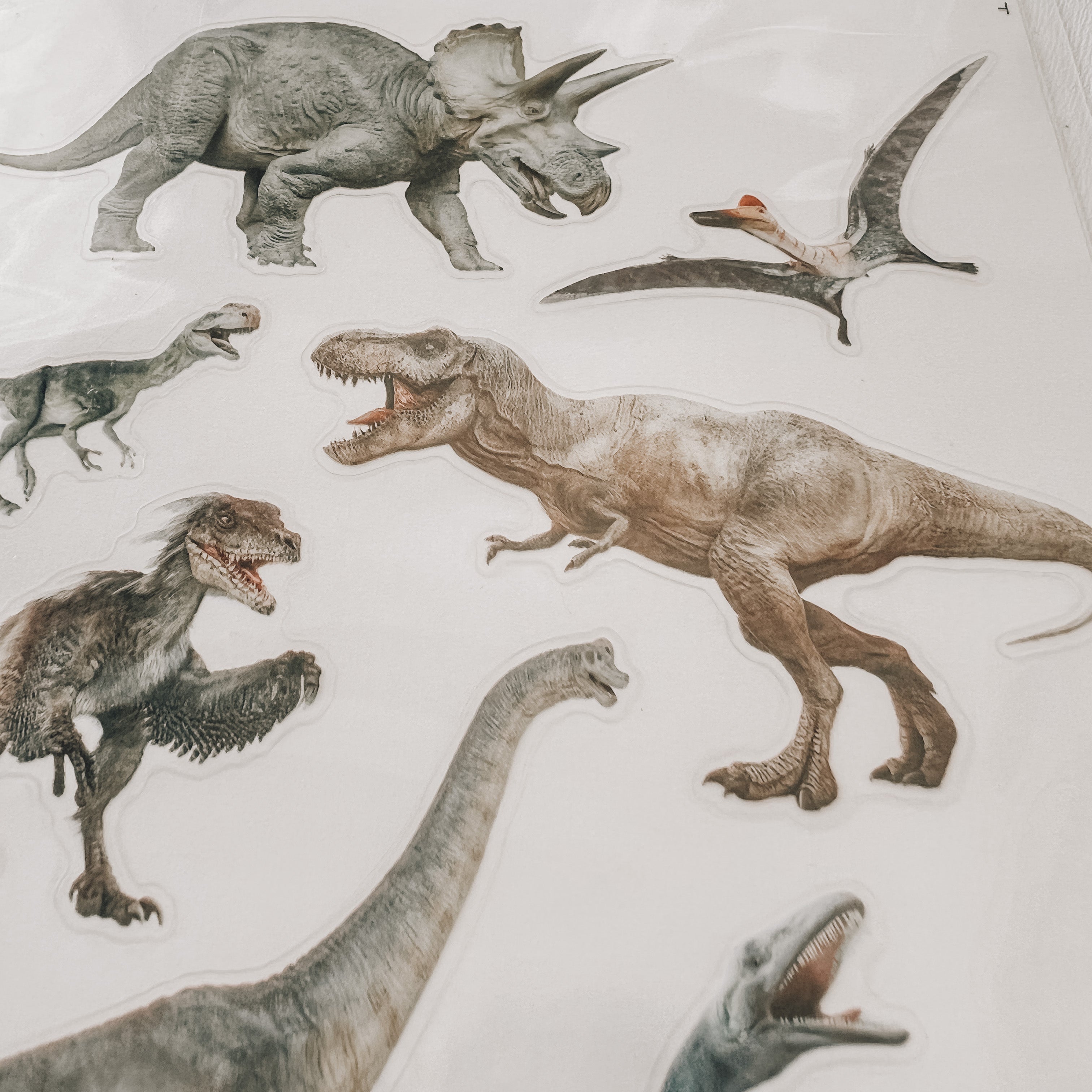 Realistic dinosaur stickers