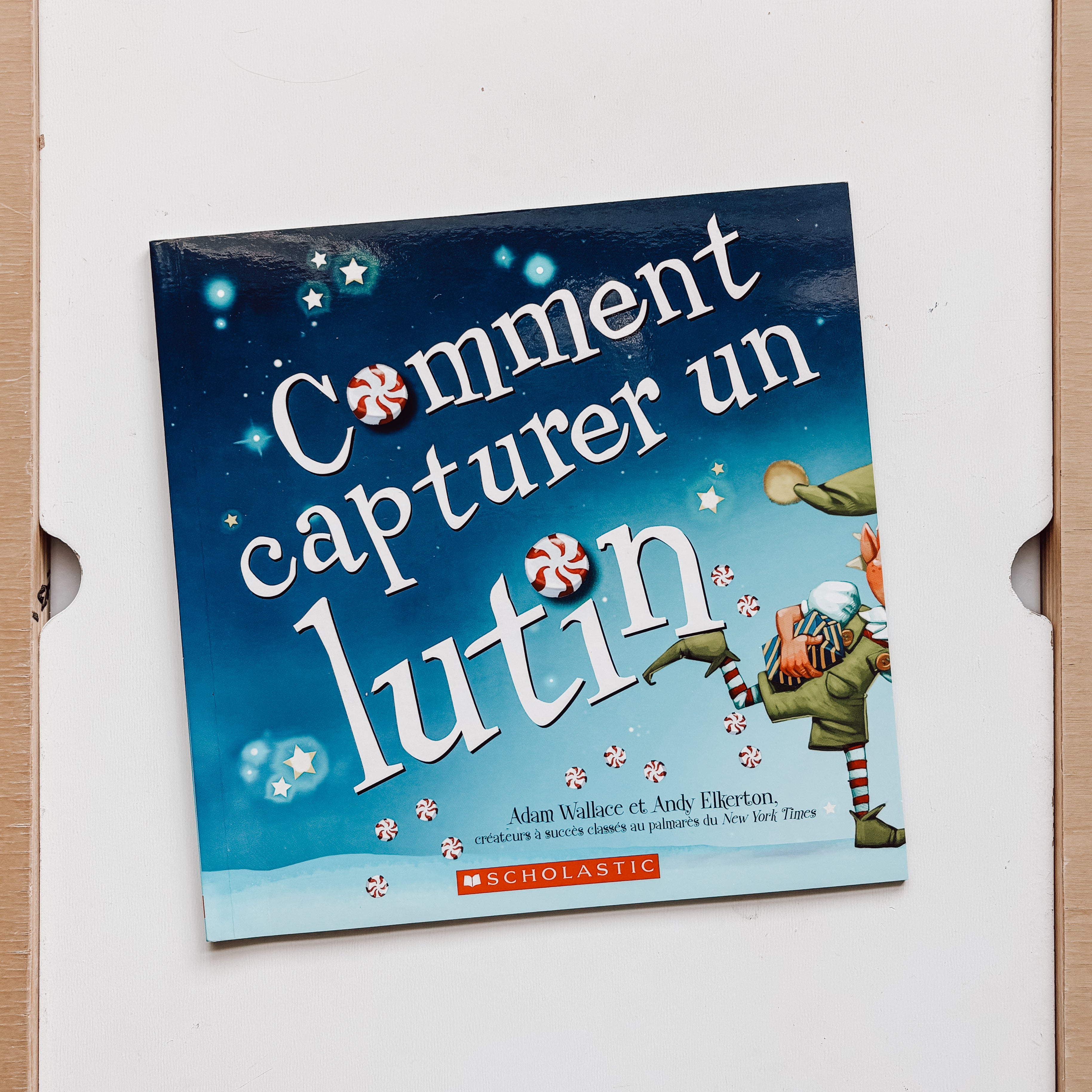 Livre d'histoire - Comment capturer un lutin